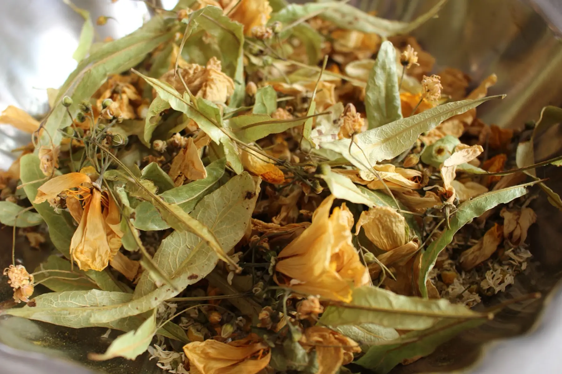 Tisane composée La trio'dodo