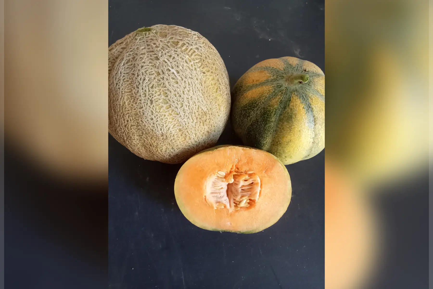 Melon