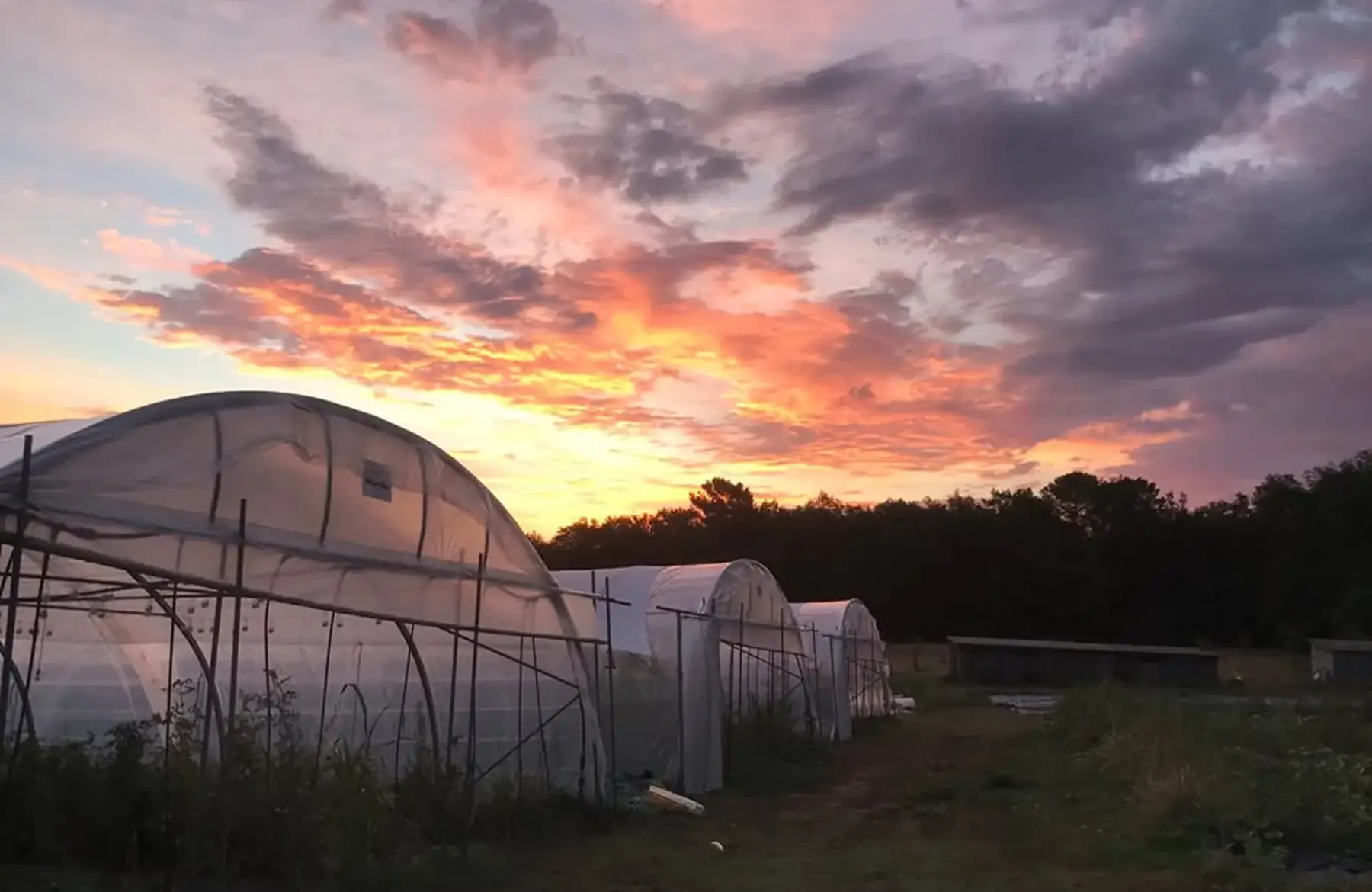 Le Collectif des Brouettes