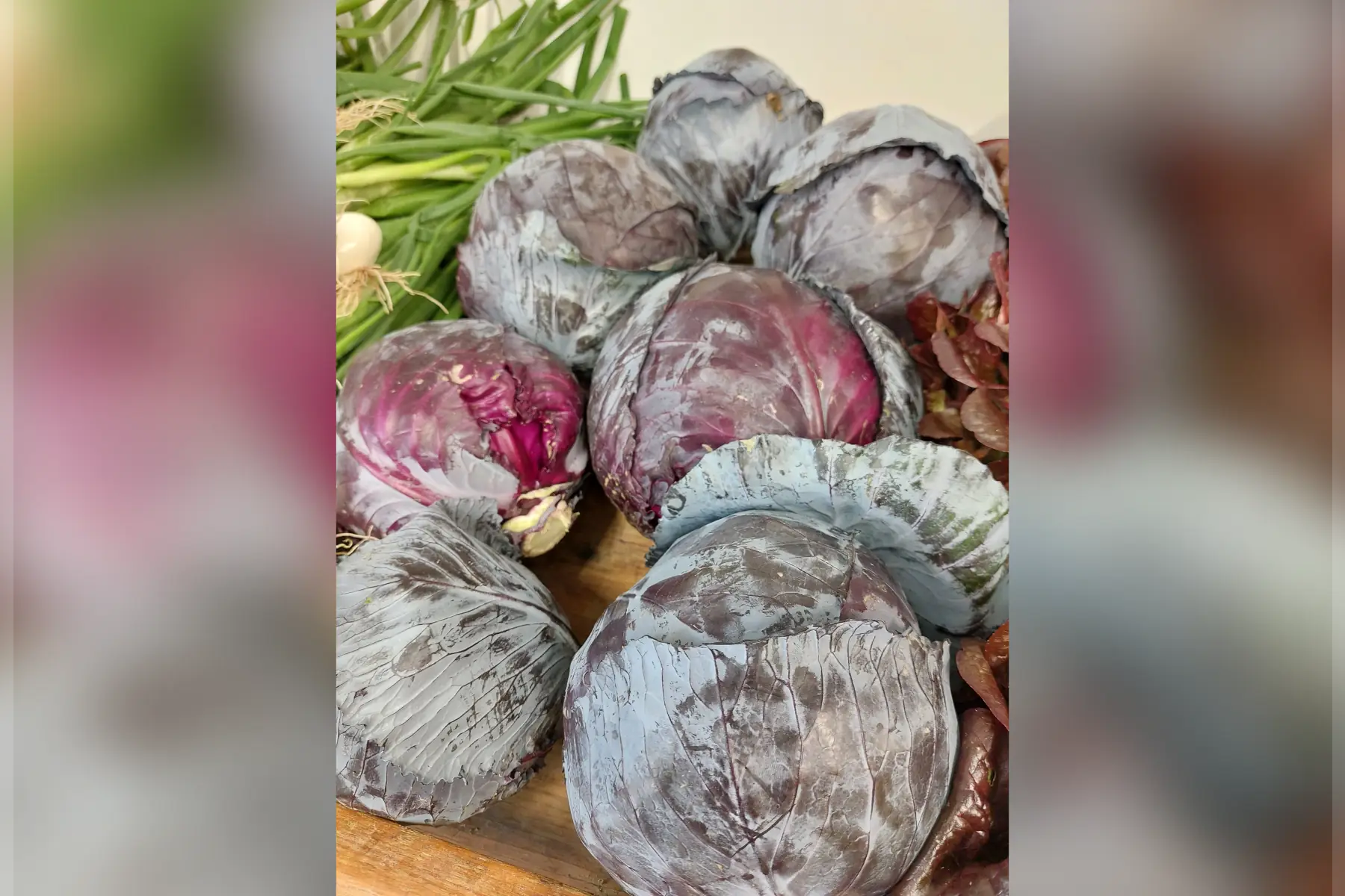 chou-pomme rond rouge