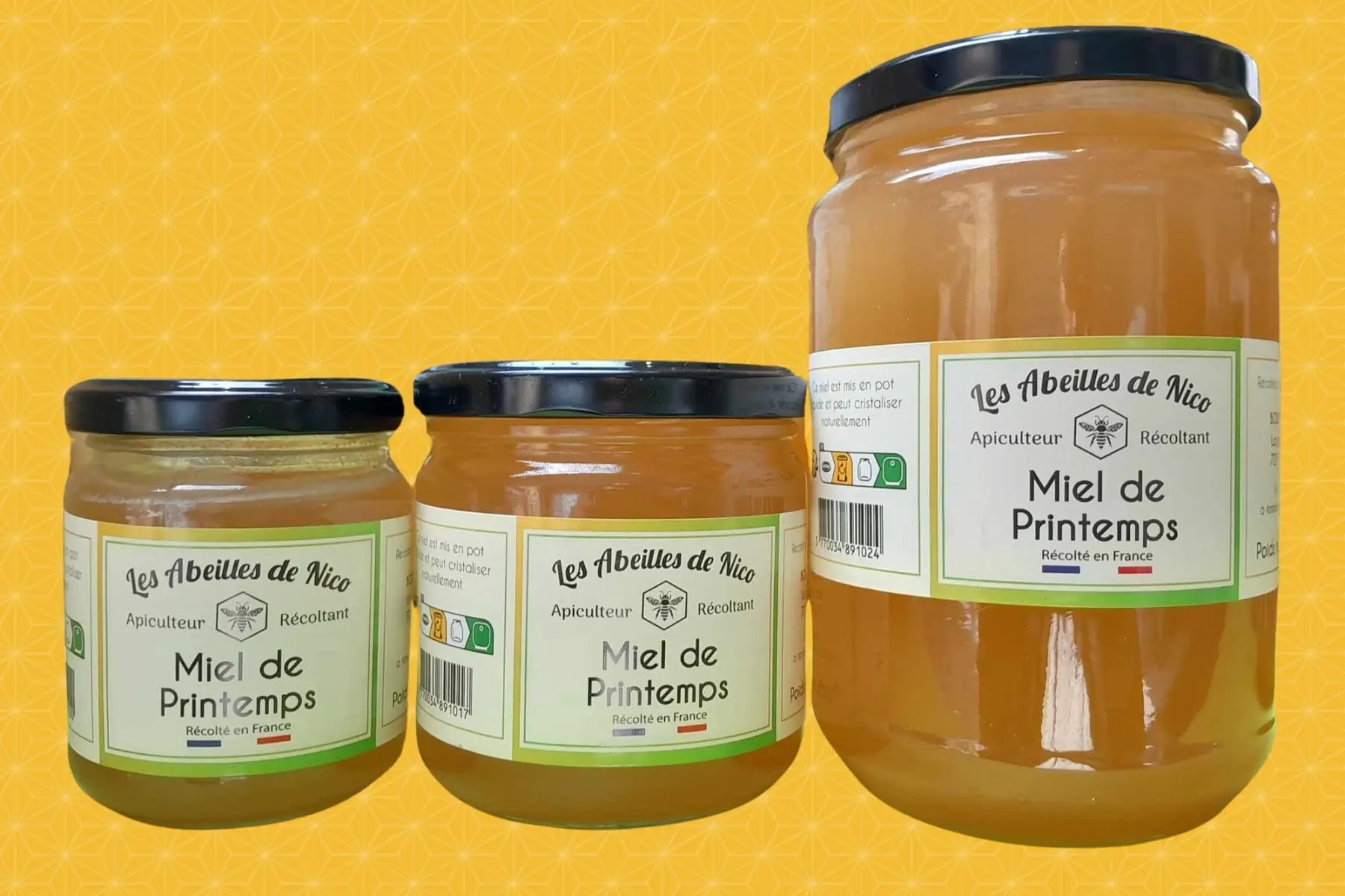 Miel de Printemps - 1 Kg