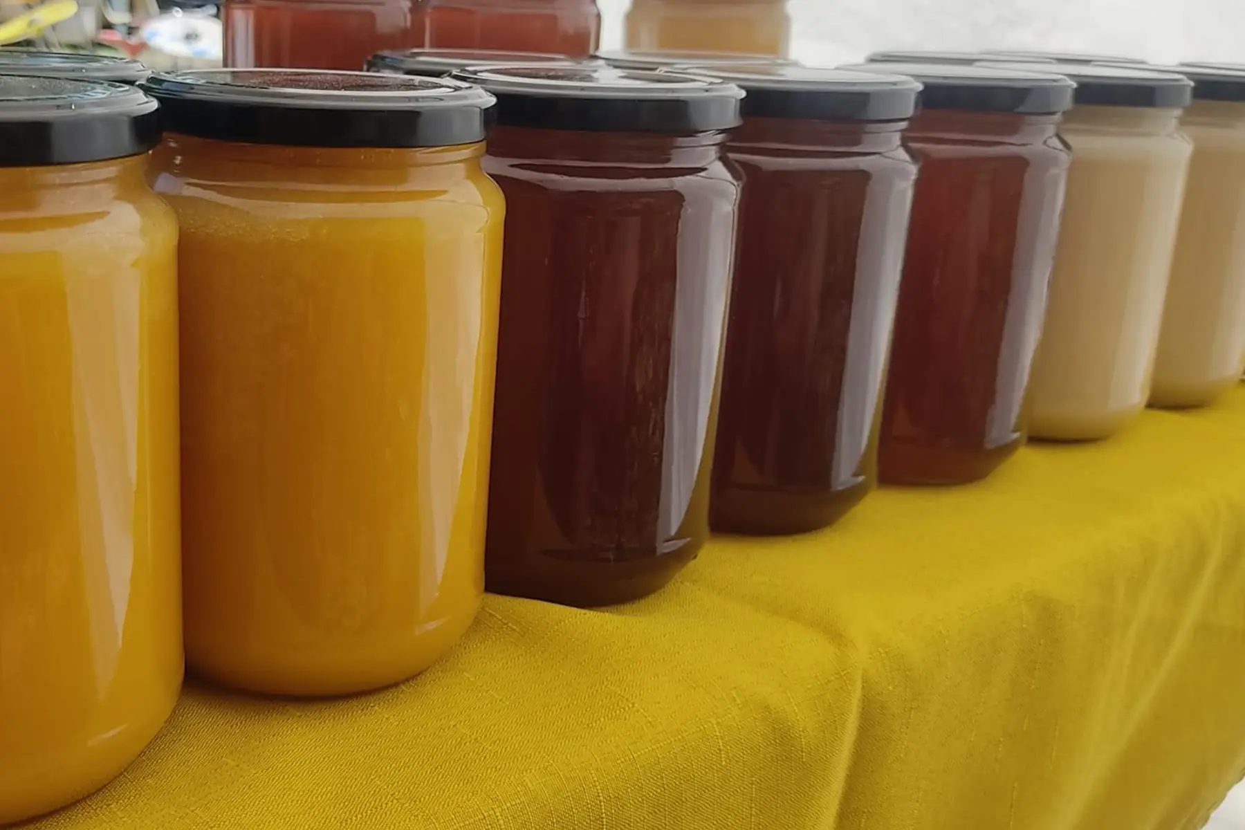 les abeilles de nico