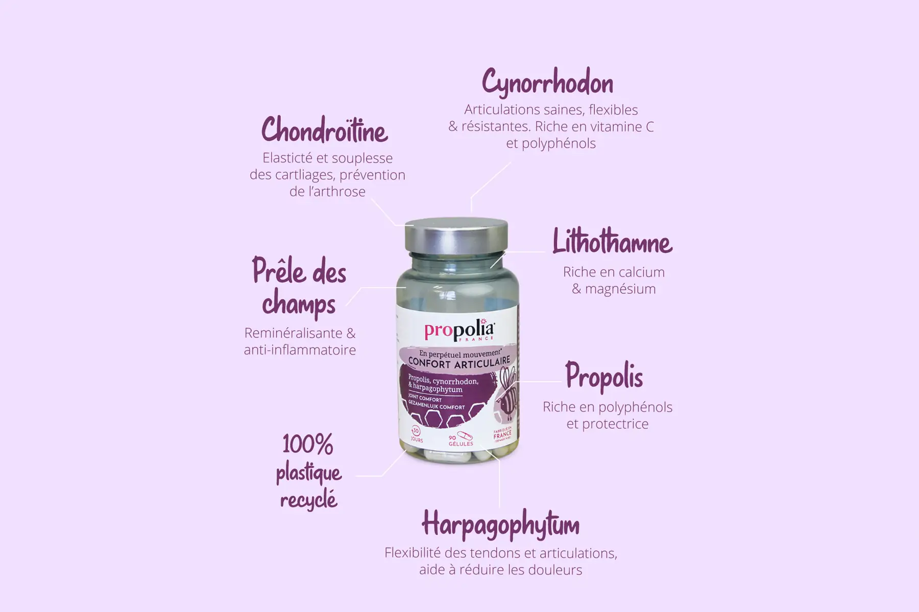 Confort Articulaire Propolis & Cynorrhodon