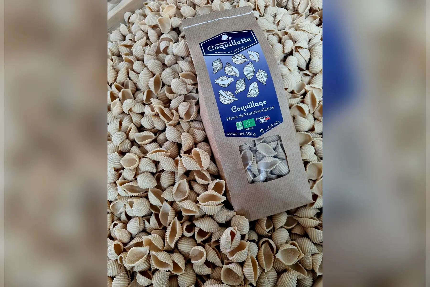 Coquillage classique