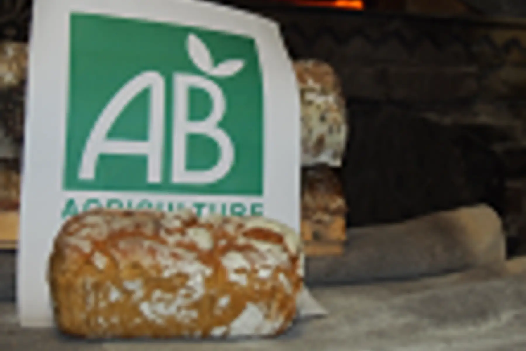 PAIN PETIT EPEAUTRE 500g bio coupé