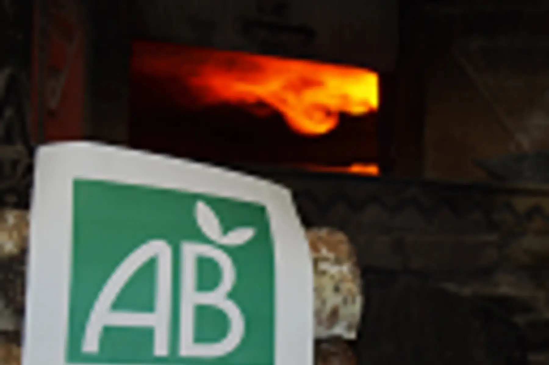 PAIN PETIT EPEAUTRE 500g bio