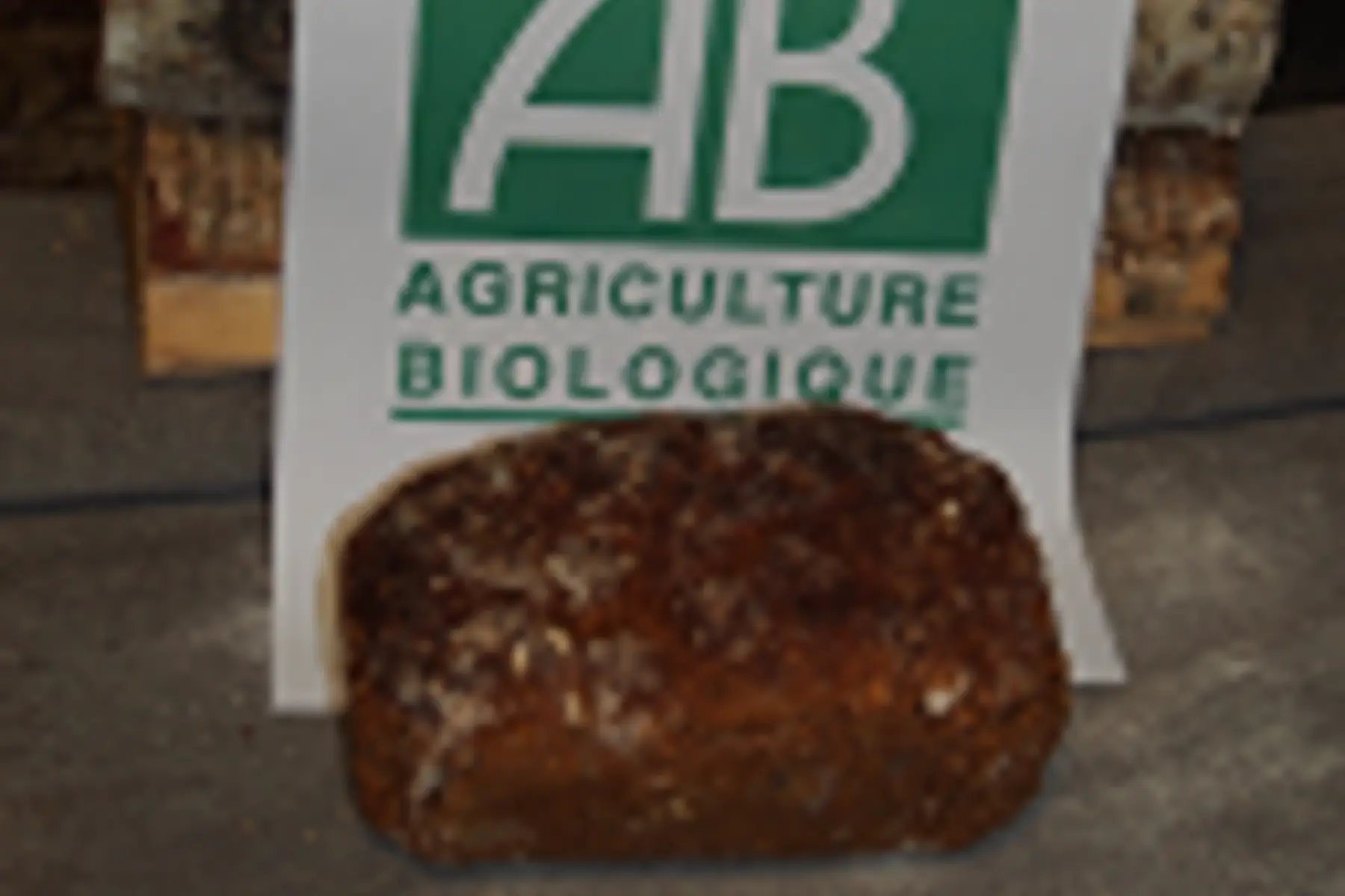 PAIN COMPLET EPEAUTRE 500g bio coupé