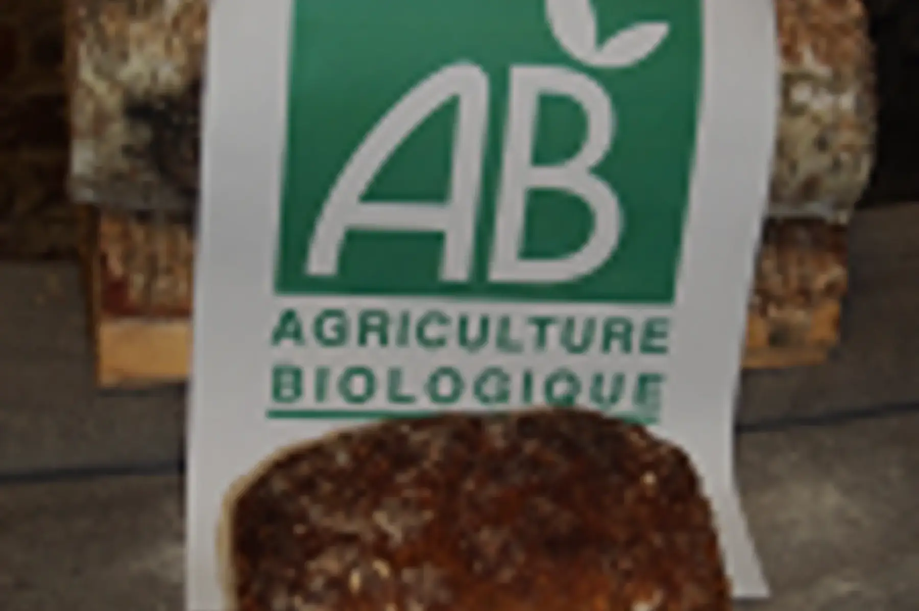 PAIN COMPLET EPEAUTRE 500g bio