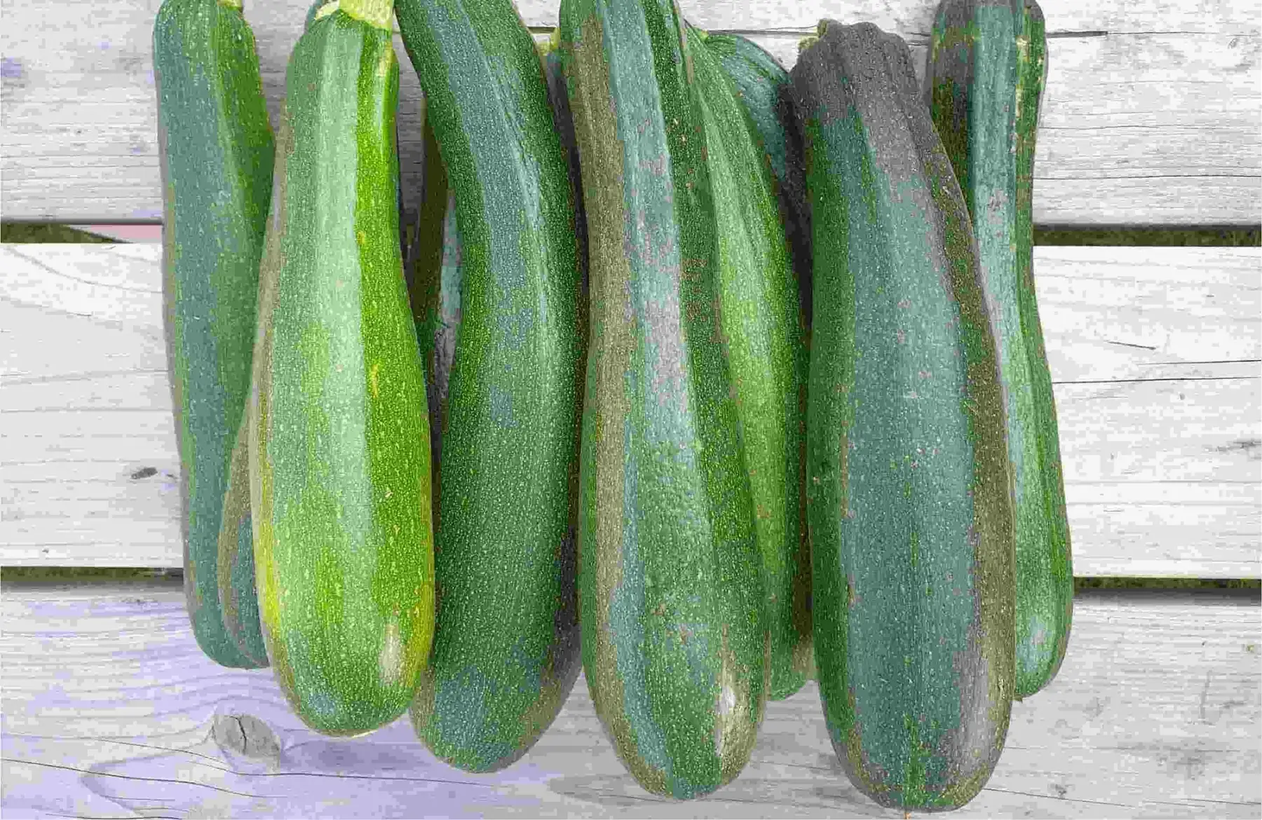 Courgette verte ou jaune