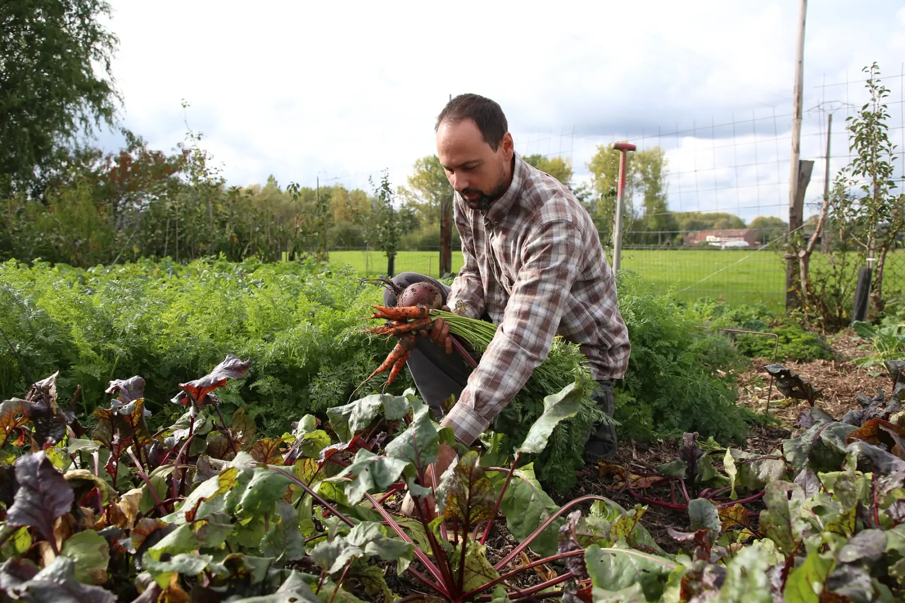 jardins du vent de bise