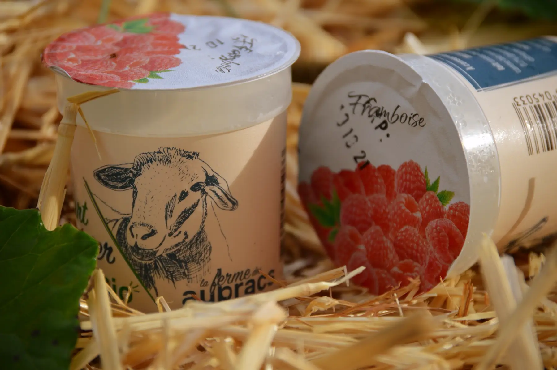 yaourt brebis framboise x 2