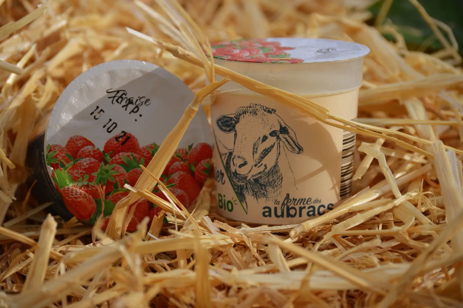 yaourt brebis fraise x 2