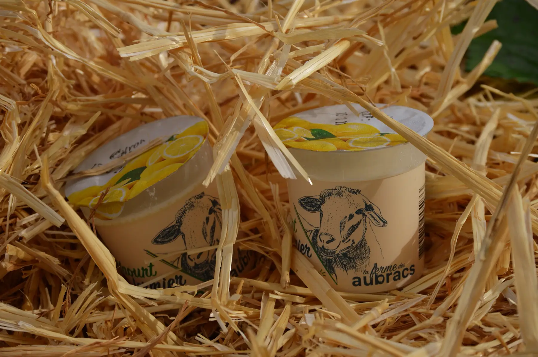 yaourt brebis citron x 2