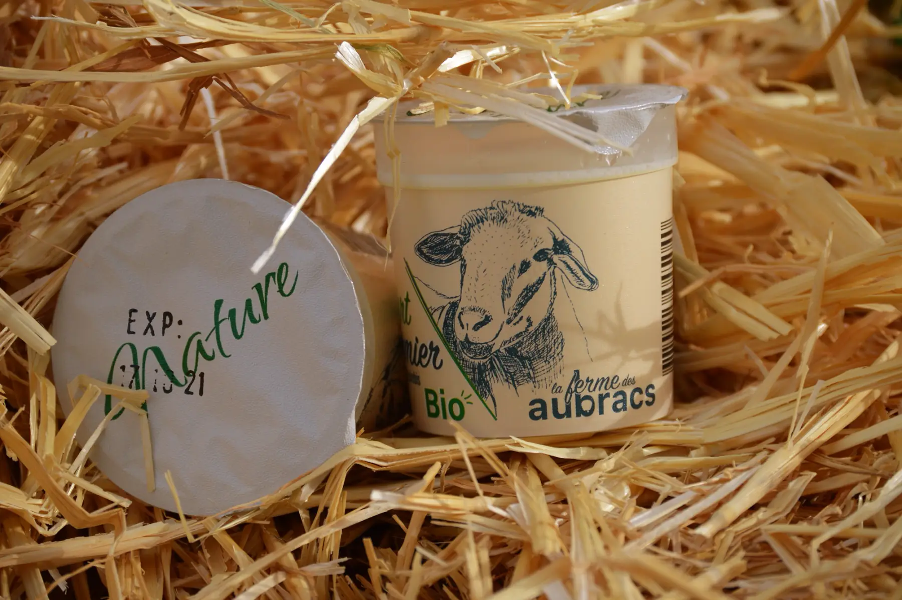 yaourt nature brebis x 2