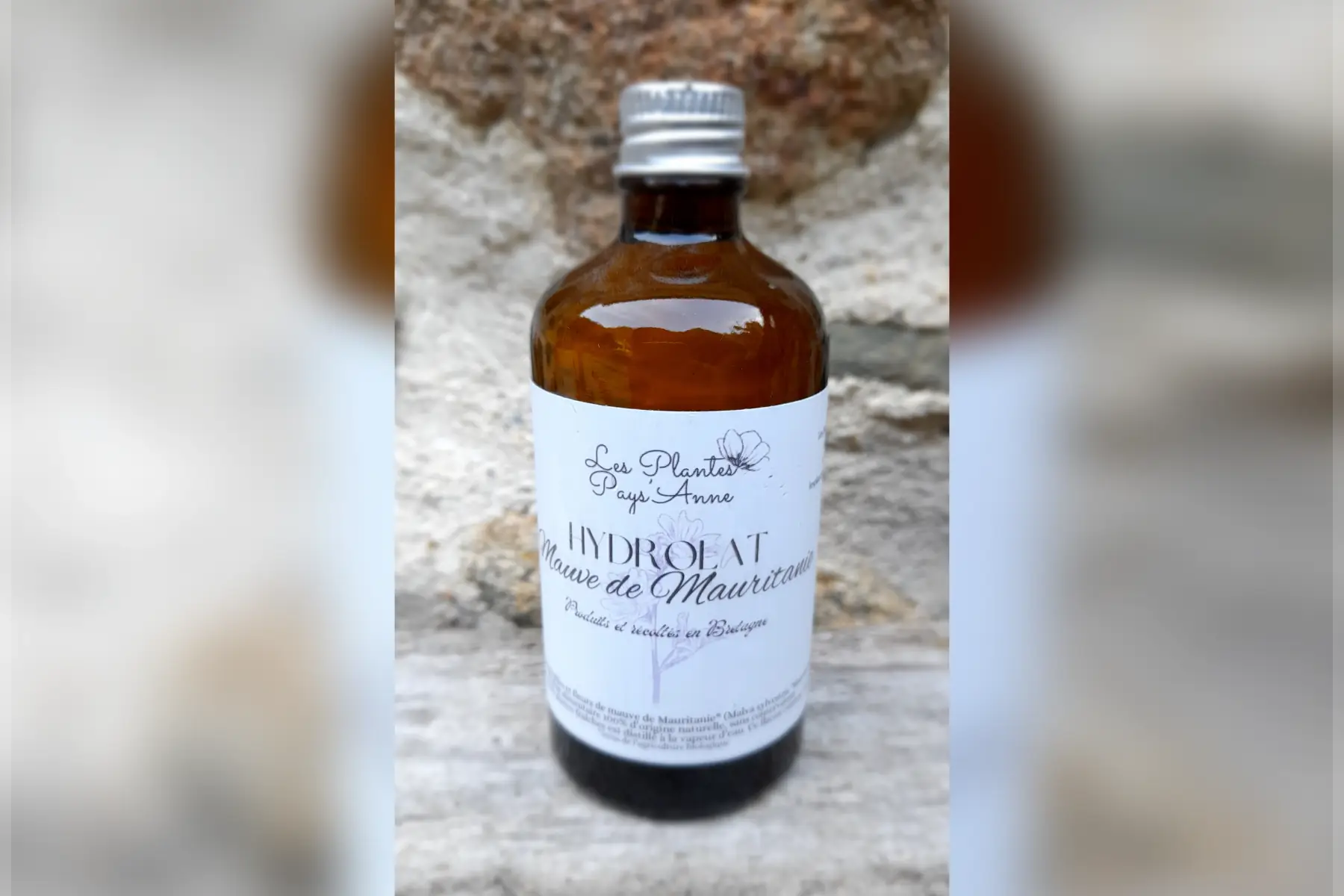 Hydrolat de Mauve de Mauritanie