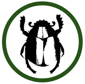 Brasserie Pique-Prune