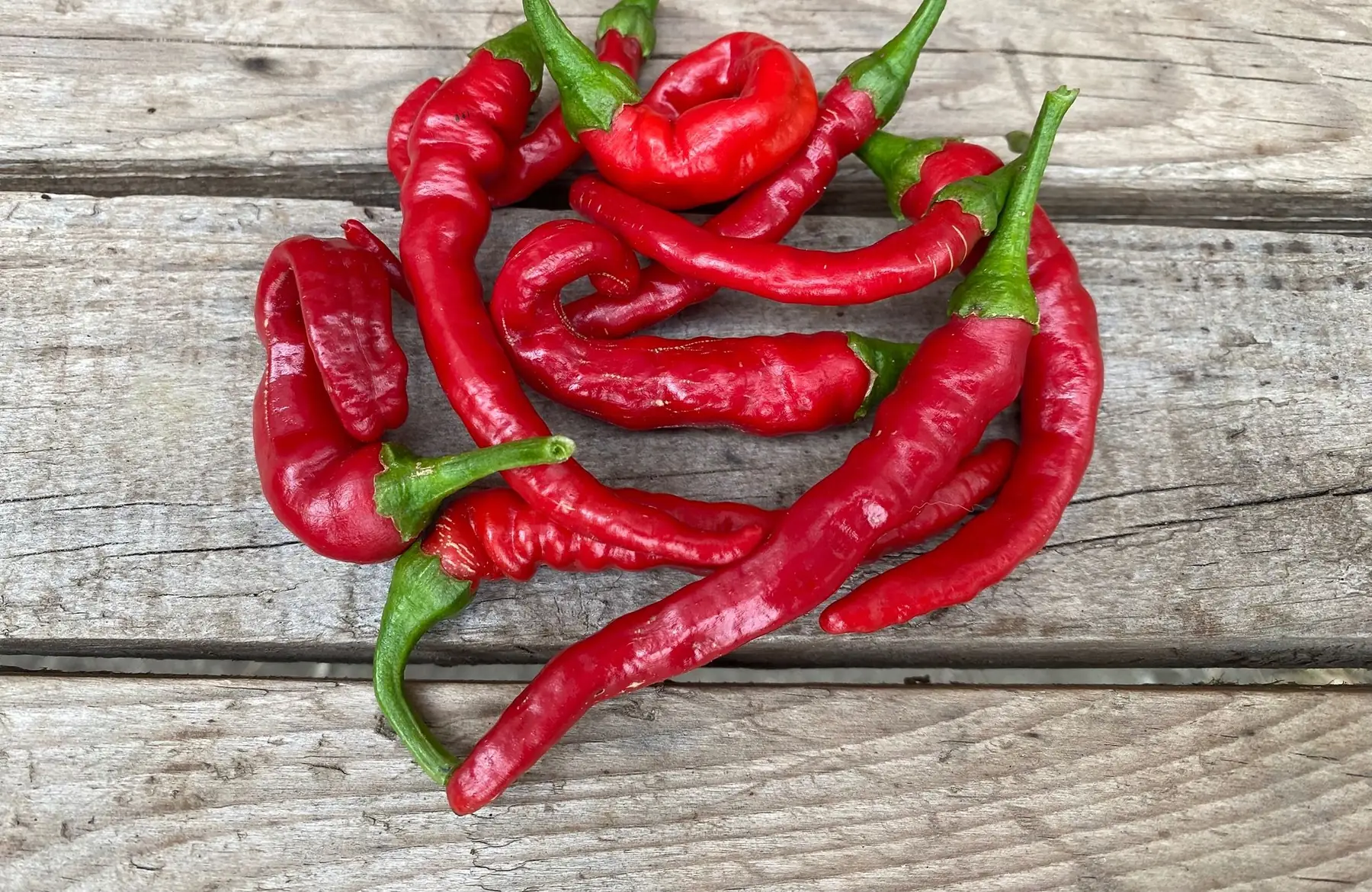 10 piments de Cayenne