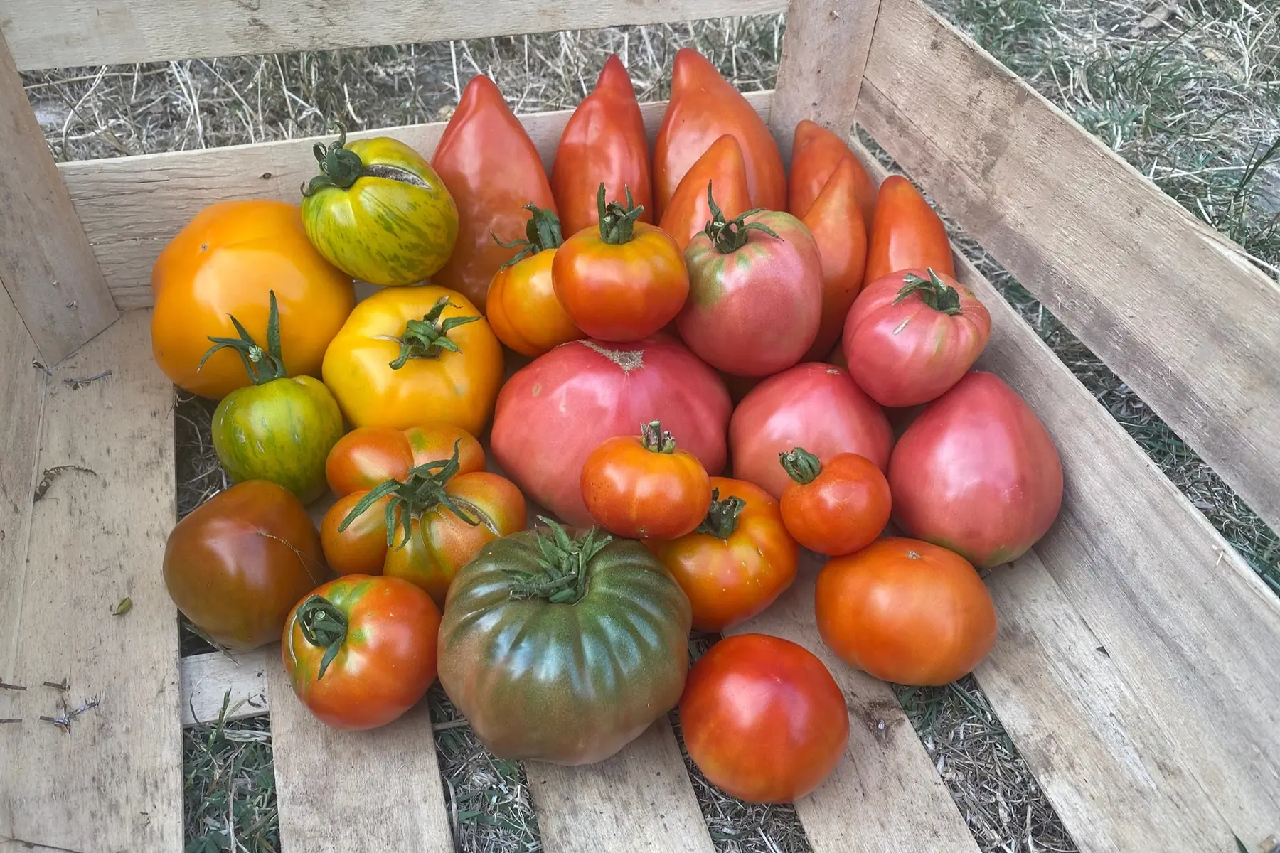 LES JARDINS DE LA CASCADE