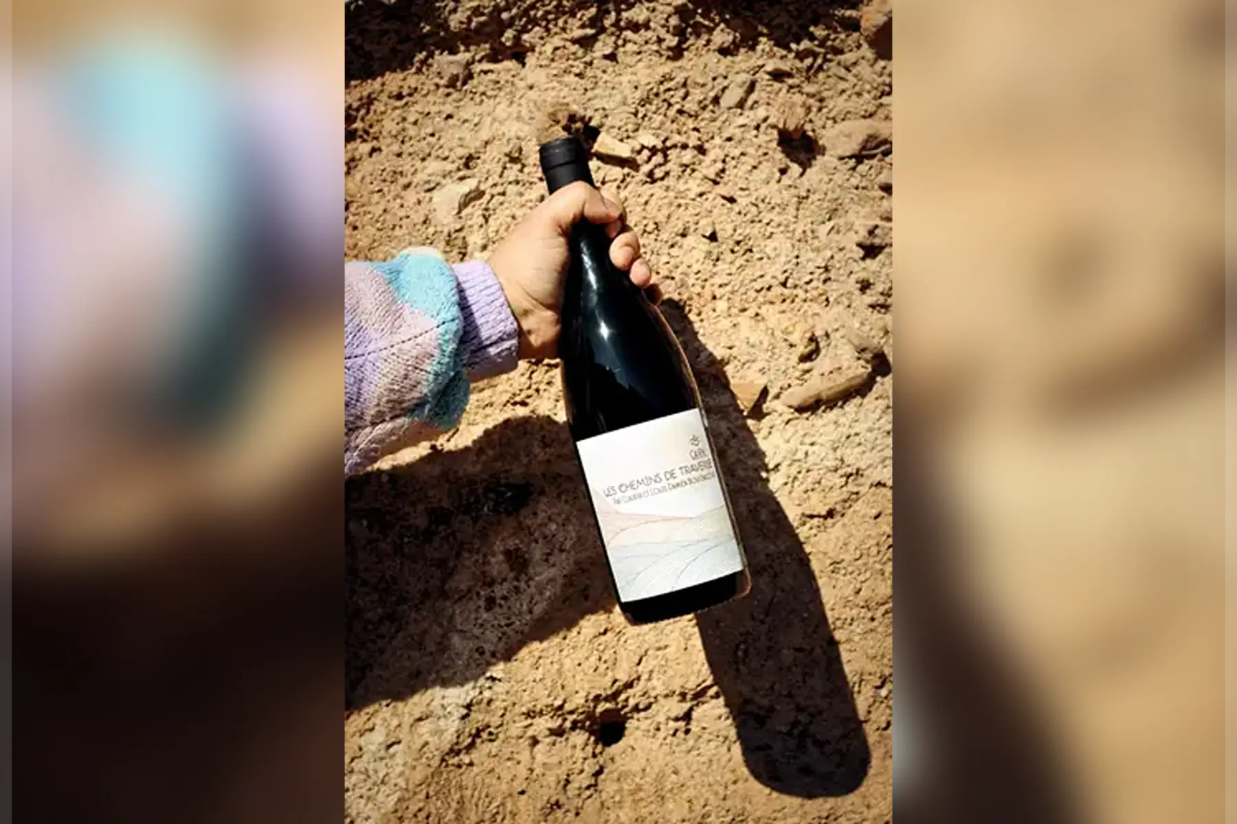 Cairn 2018 - AOP Chénas