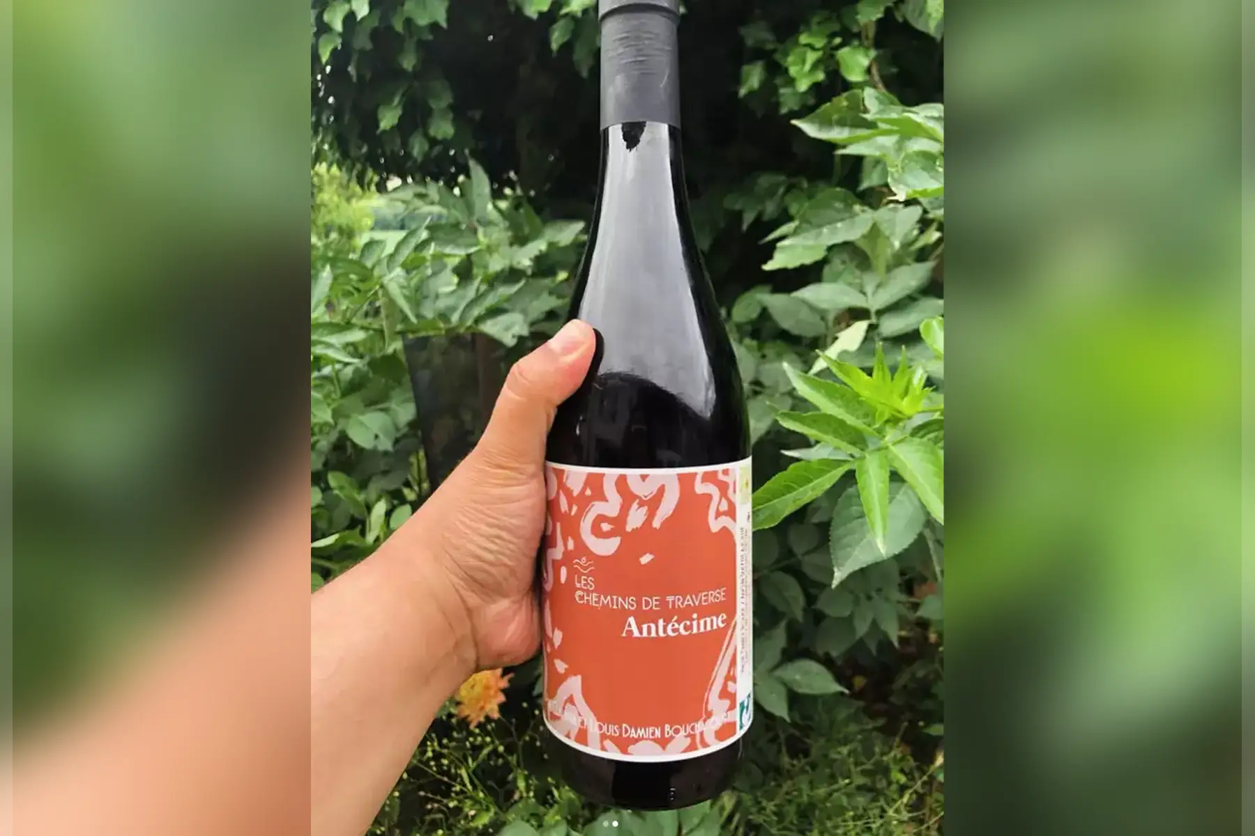 Antecime 2022 - Vin de France Rouge