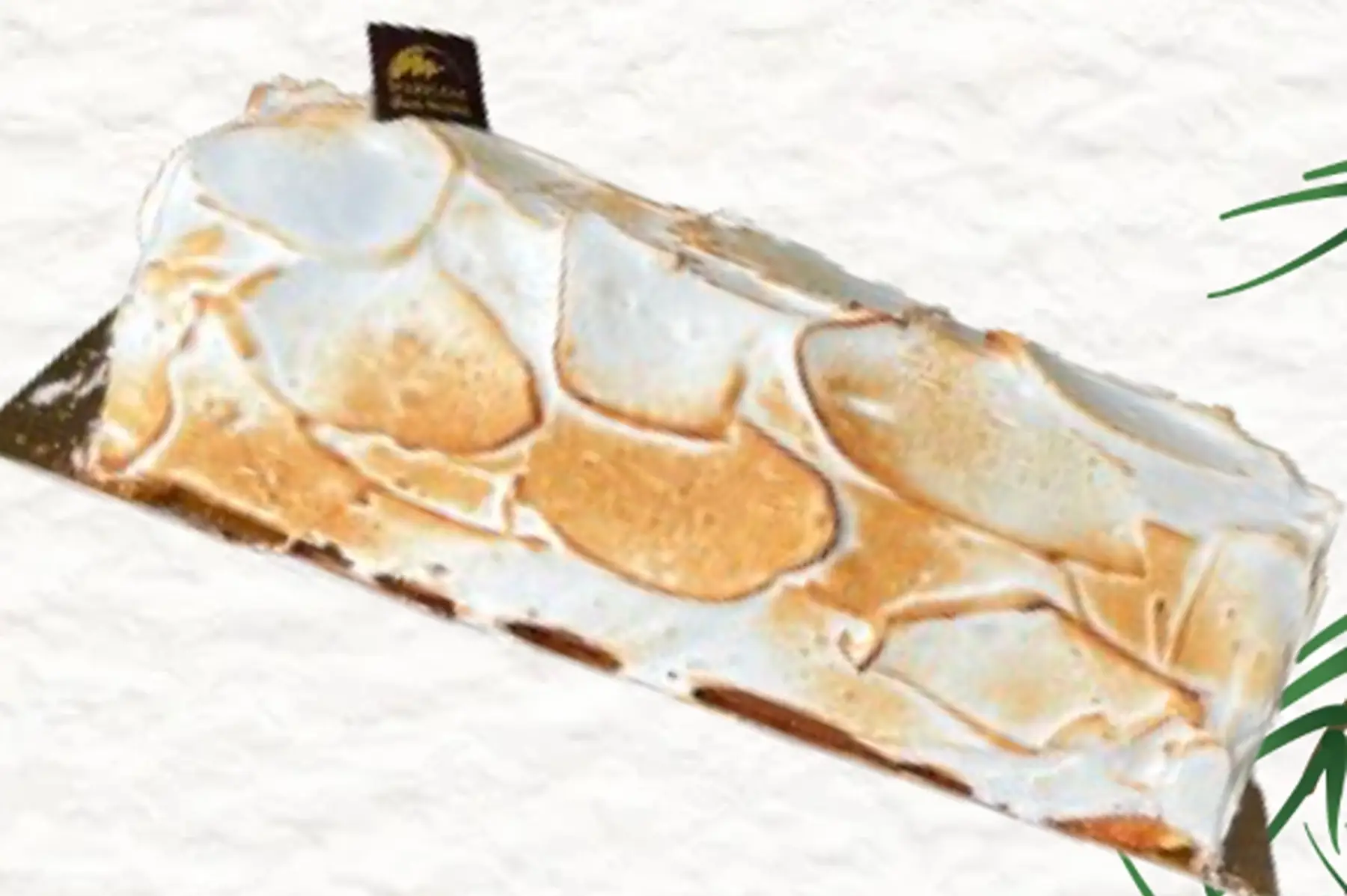 Omelette Norvégienne Crème glacée Vanille et Sorbet Fraise 4/5 parts