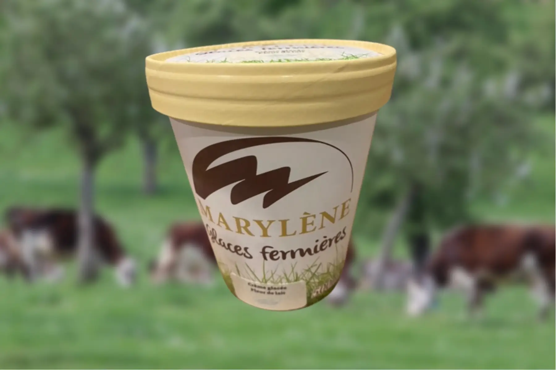 Crème glacée Fleur de lait 500ml