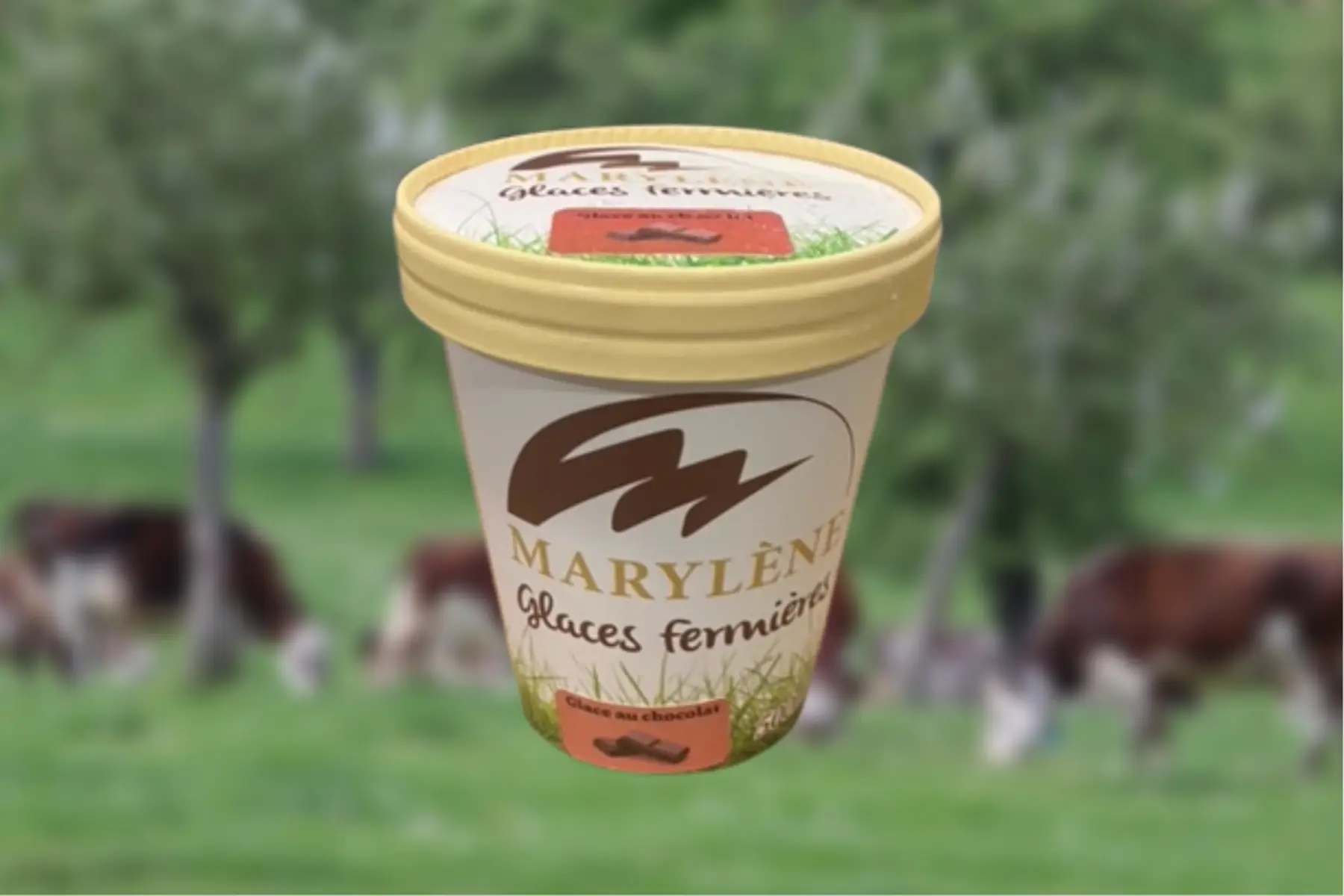 Glace Chocolat grand cru 500ml