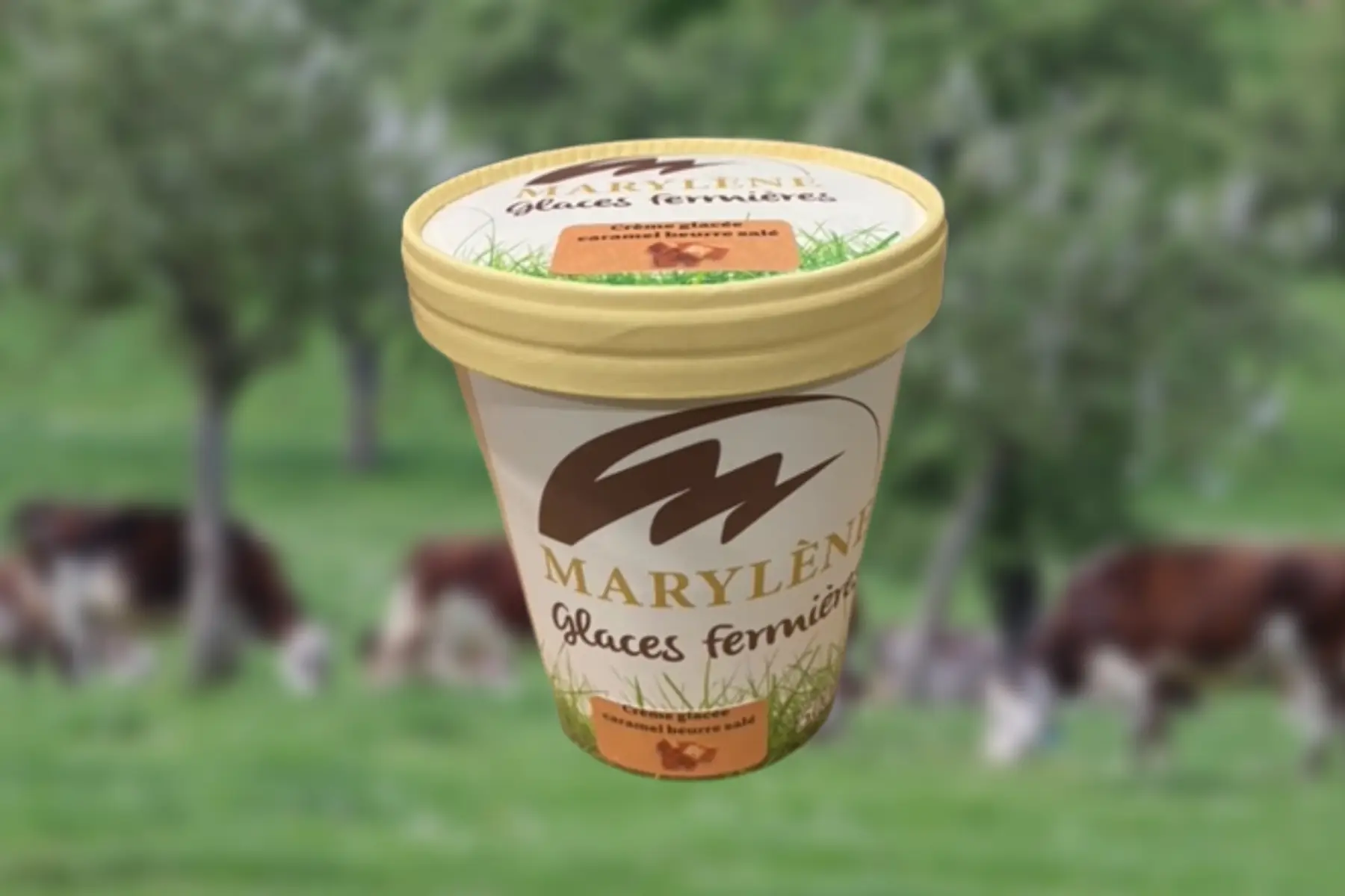 Crème Glacée Caramel beurre salé 500ml