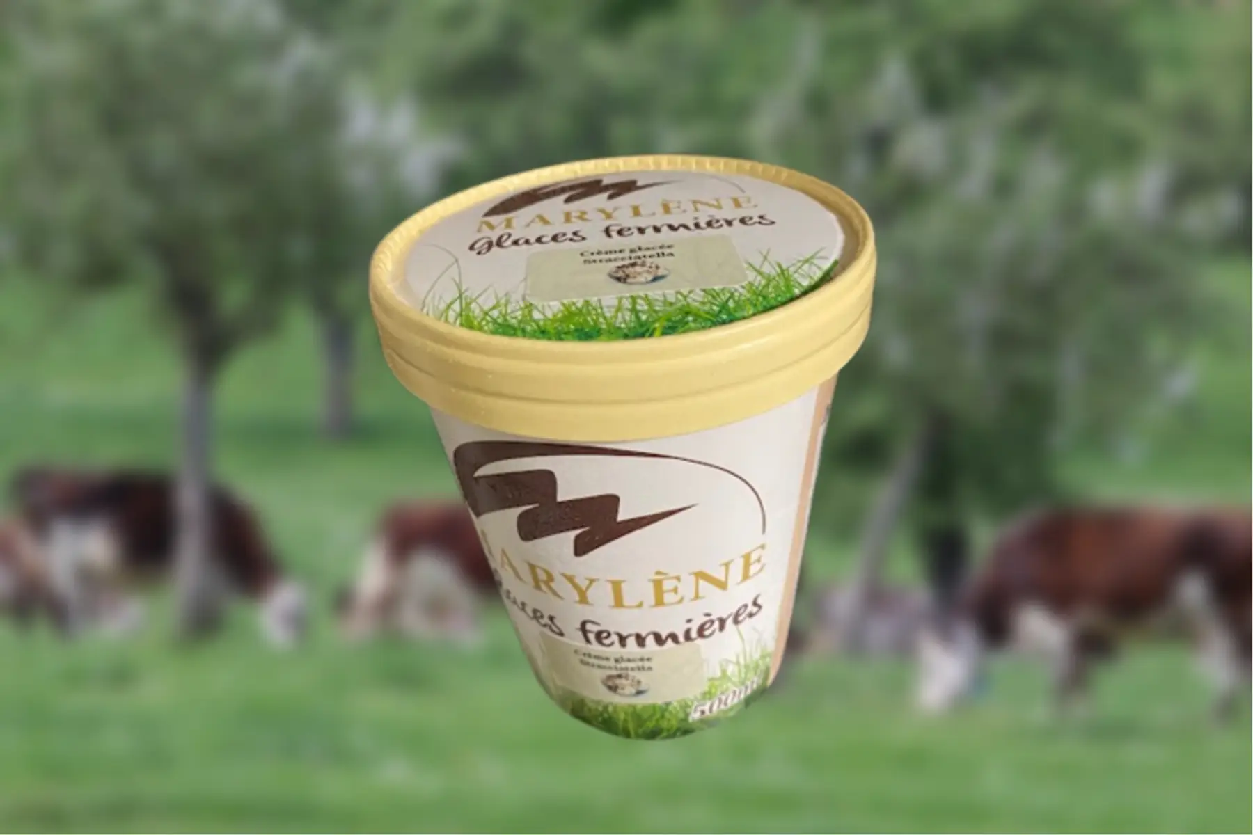 Crème glacée Stracciatella 500ml