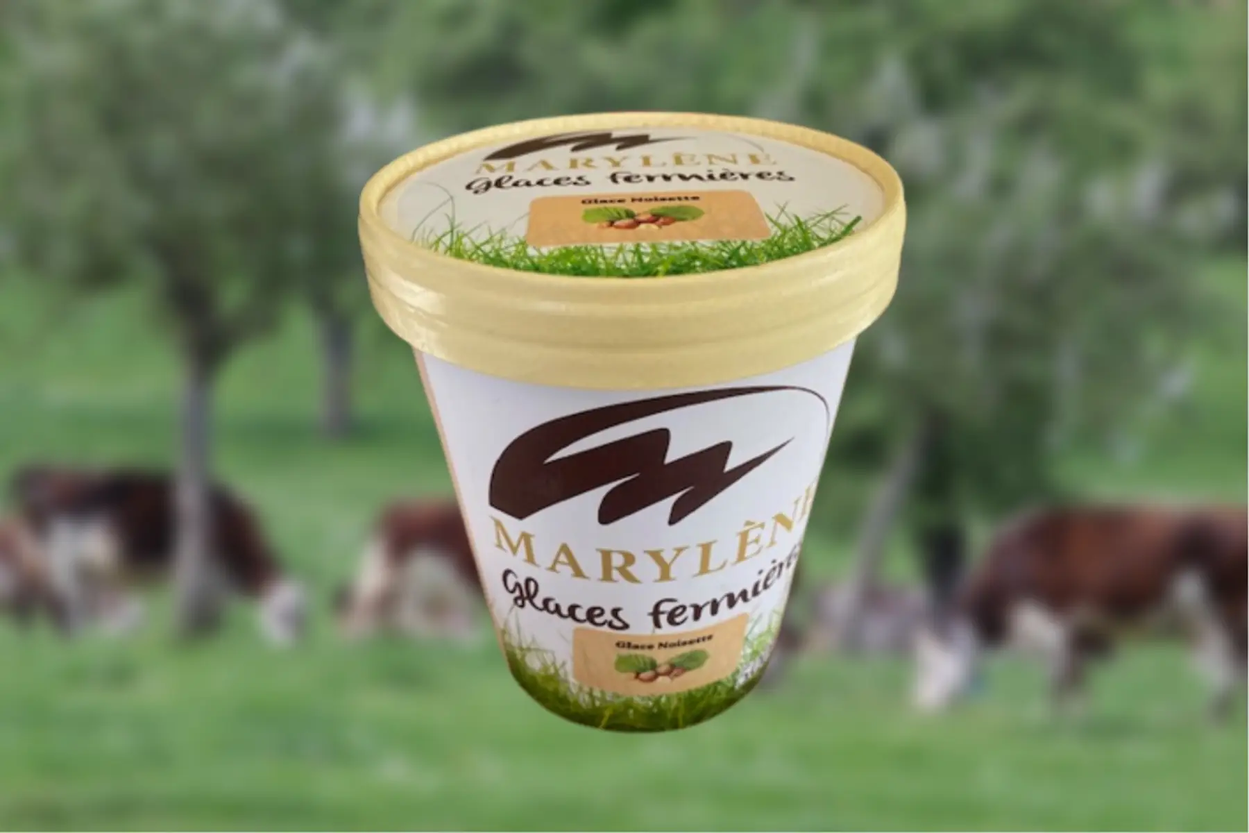 Glace Noisette 500ml