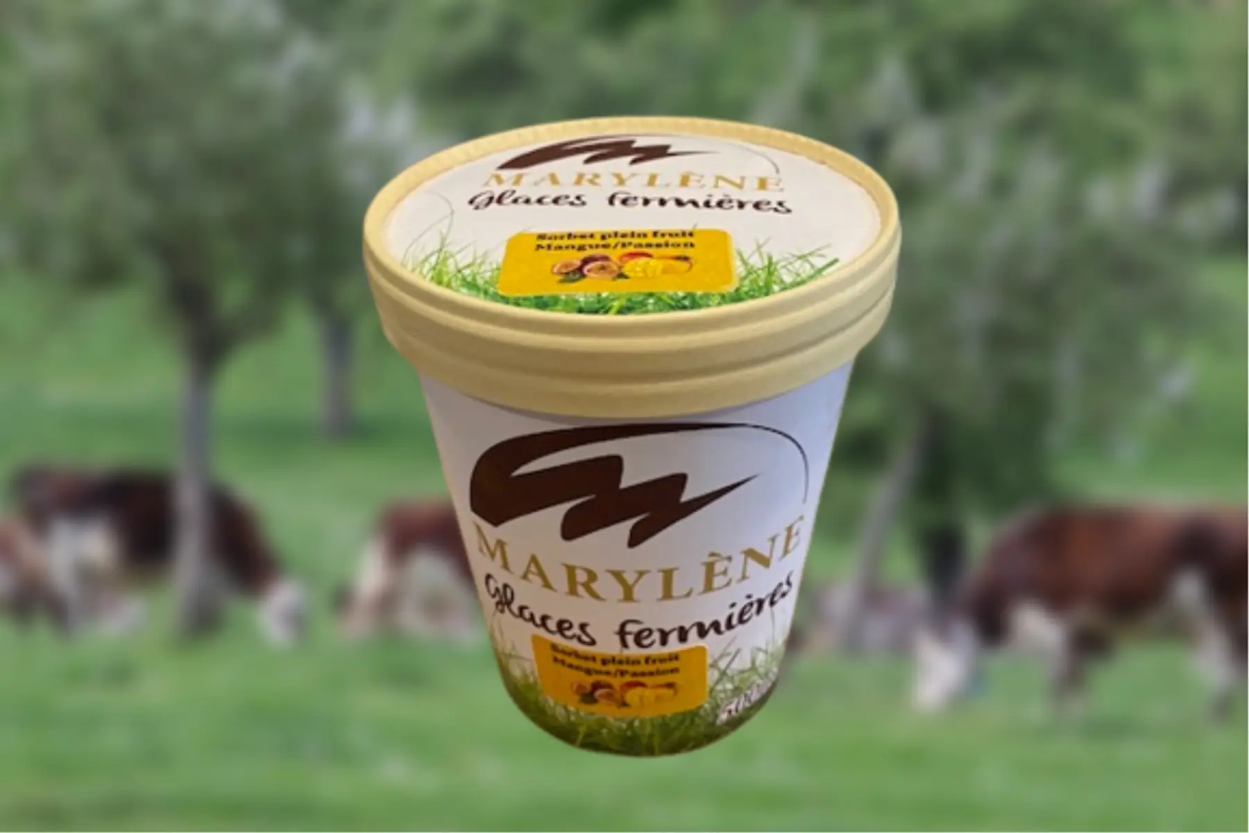 Sorbet Mangue Passion 500ml