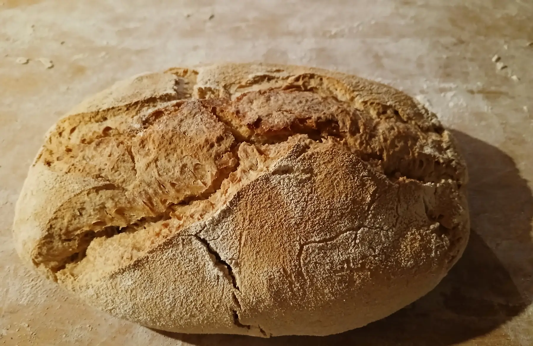 Pain Bis levain naturel bio 500g