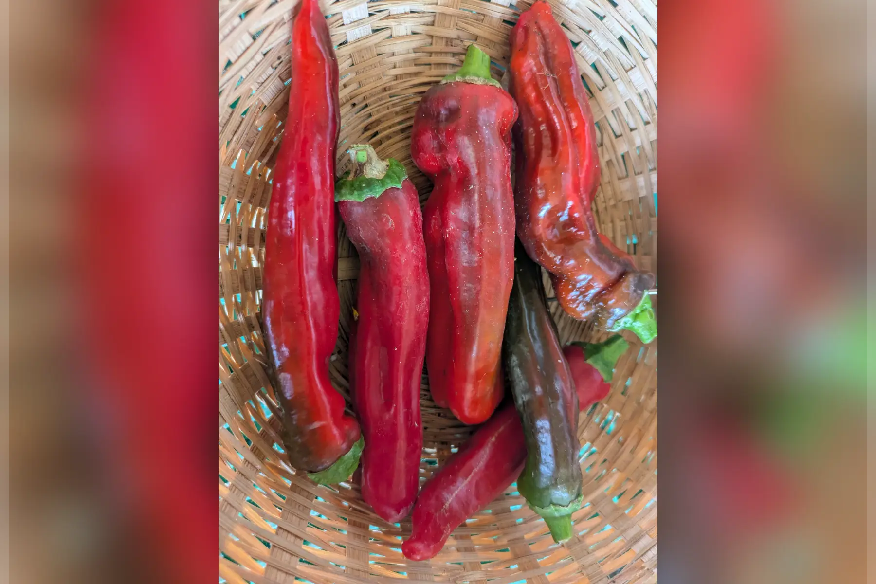 Piments