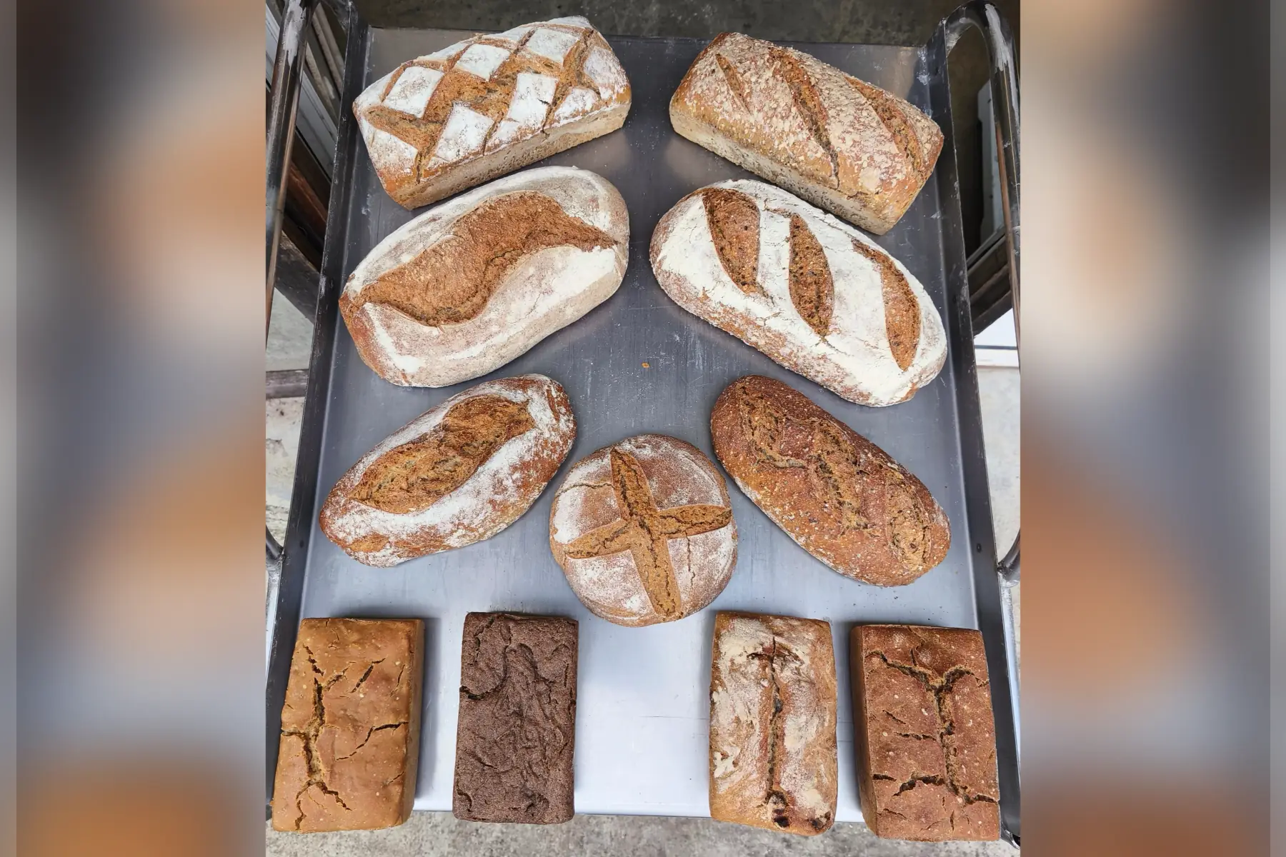 Le pain des Chavants