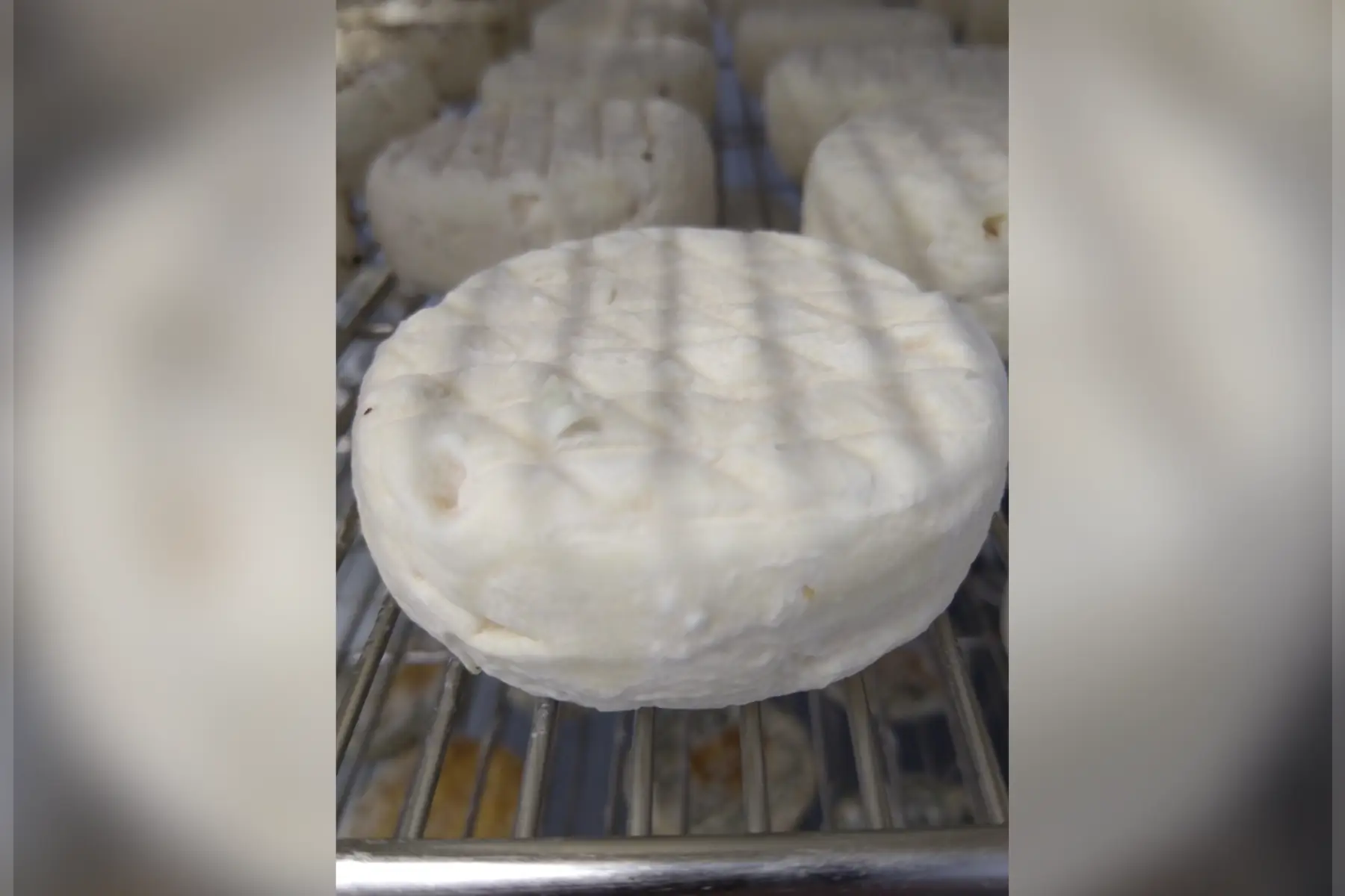 Pavé Bélinois nature