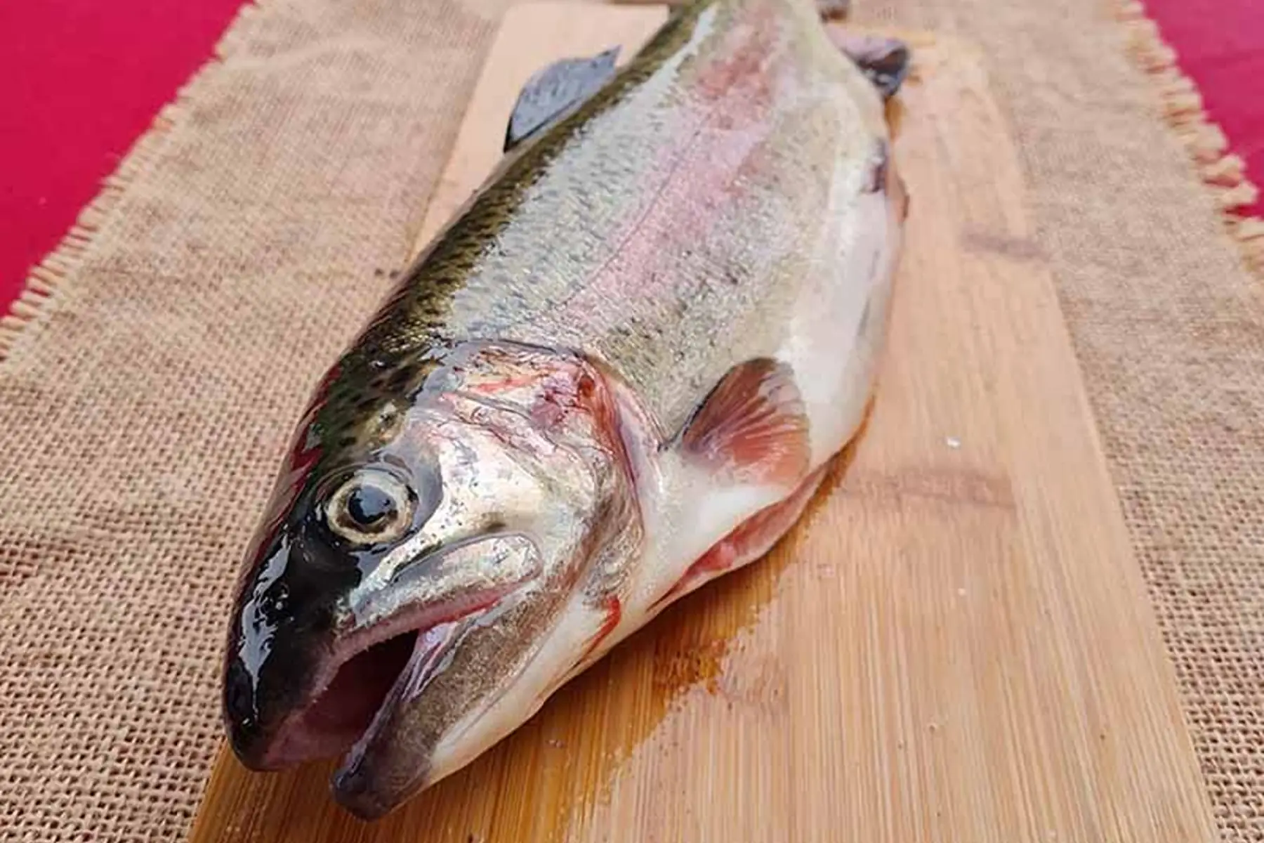 Truite entière éviscérée - Bio X2