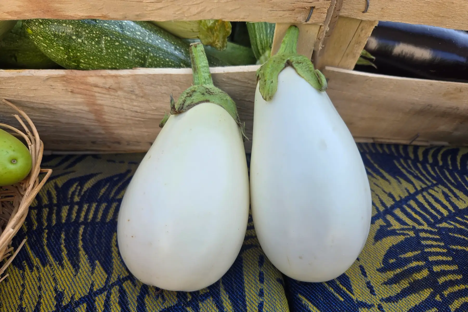 Aubergine blanche