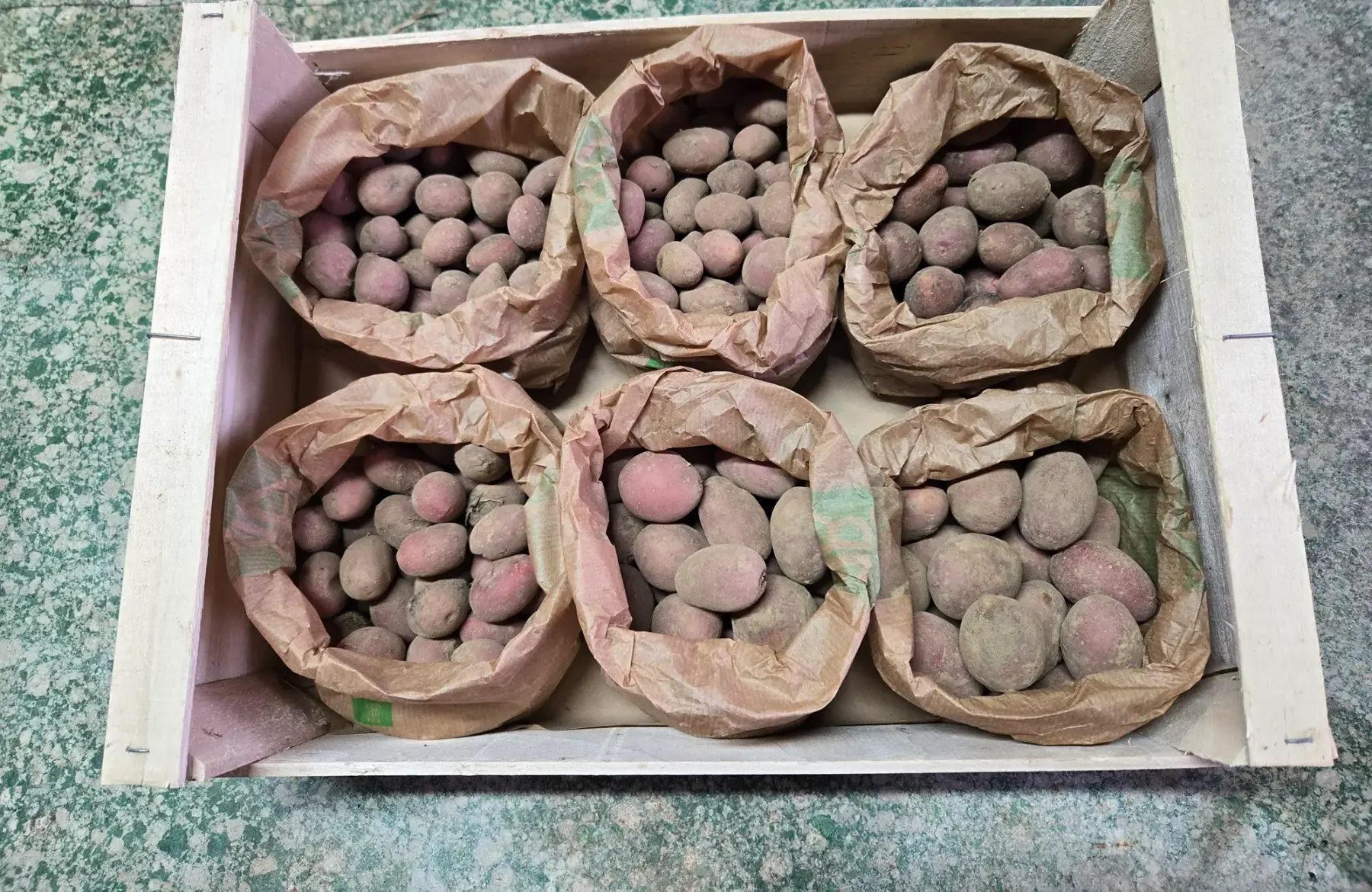 Pomme de terre grenaille