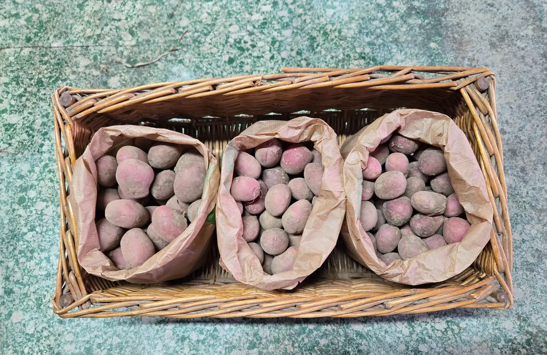 Pomme de terre grenaille