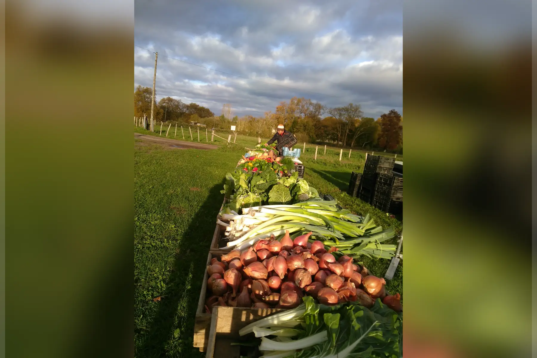 Matthieu GOUPIL - Les Légumes Verts