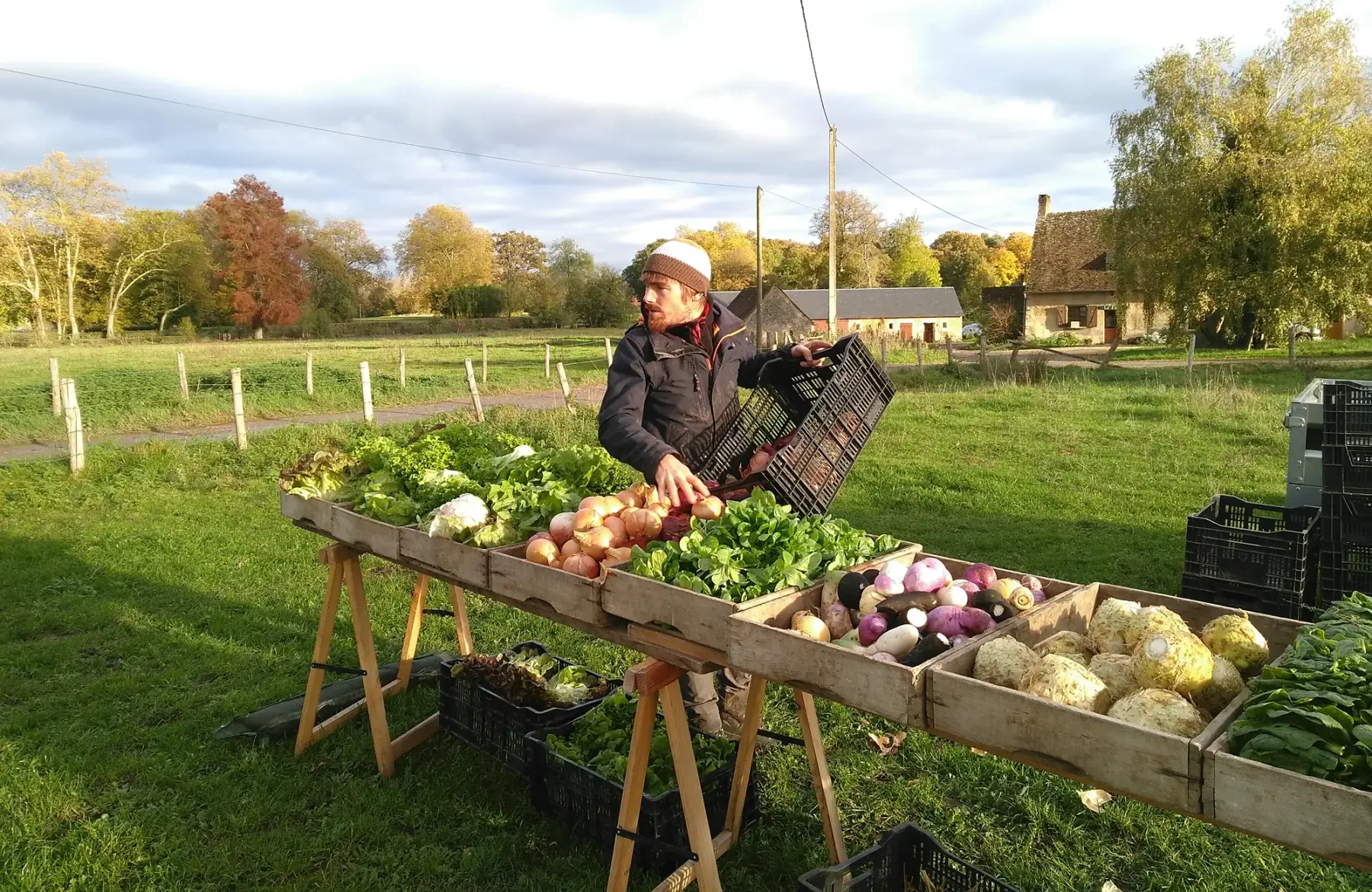 Matthieu GOUPIL - Les Légumes Verts