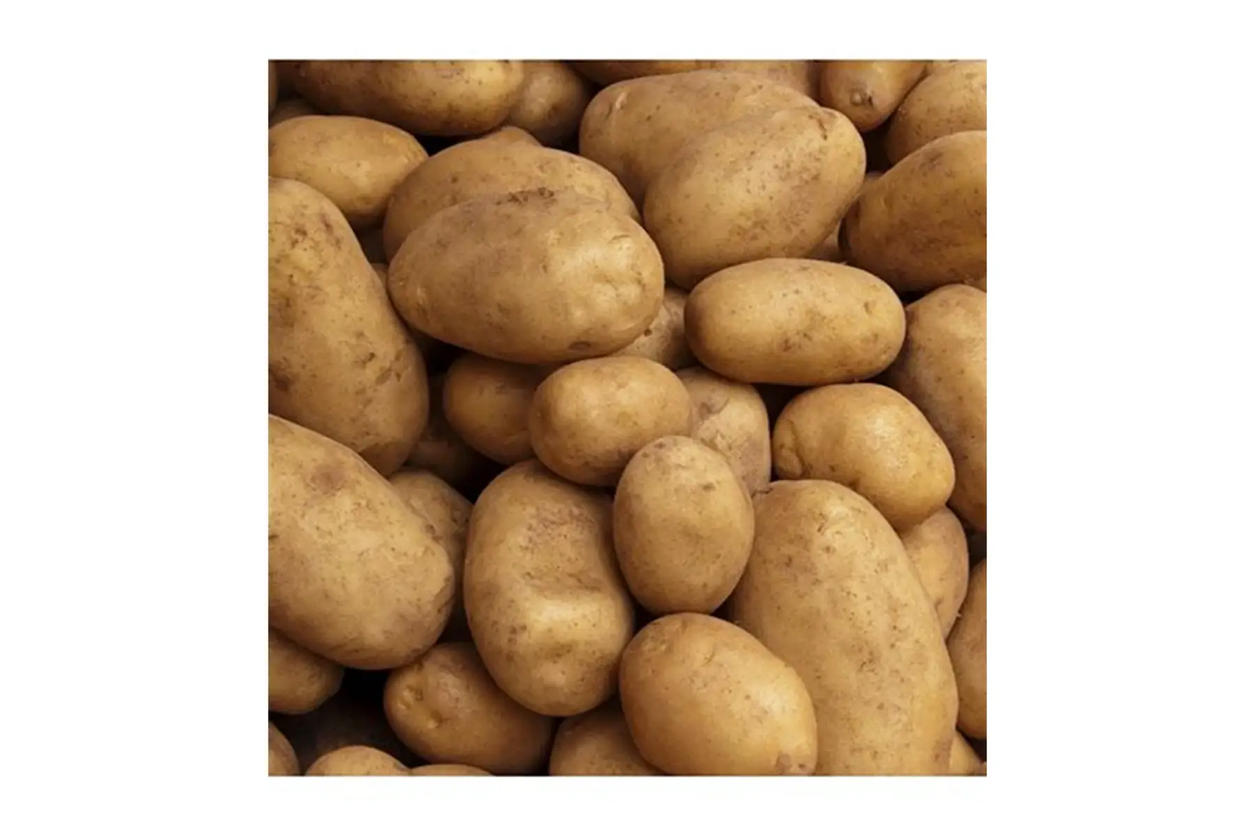 Pommes de terre Allians
