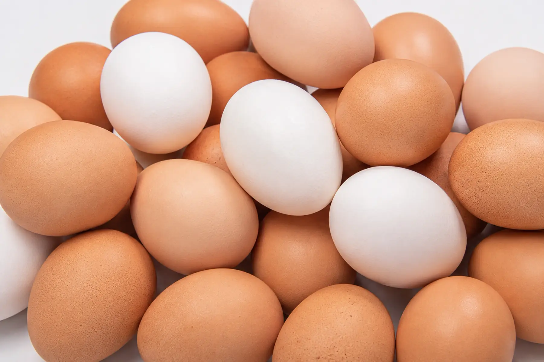 Les oeufs du Nanteux X12