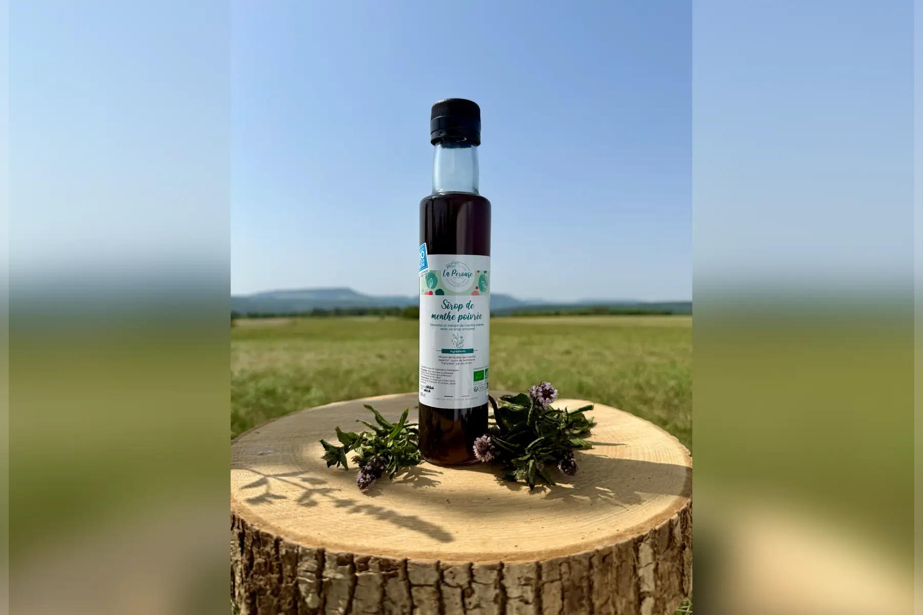 Sirop Menthe poivrée