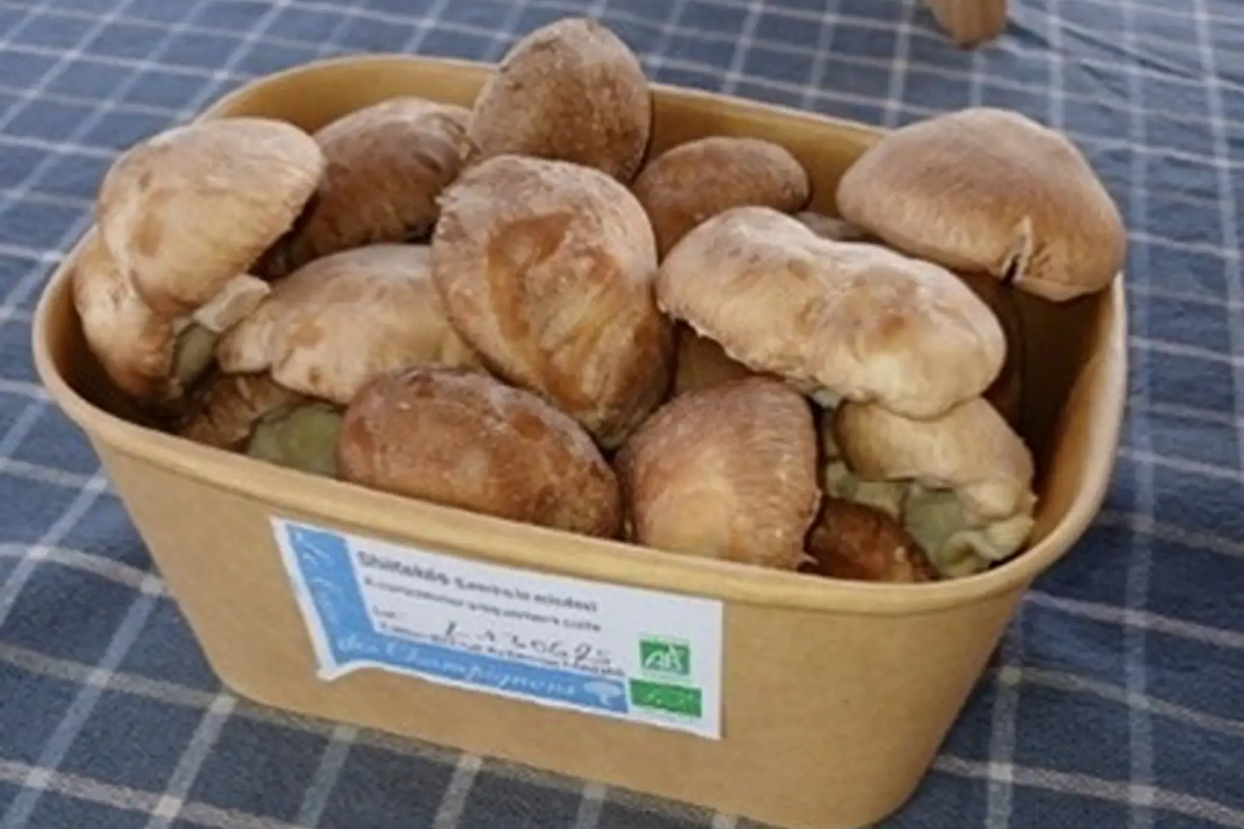 Barquette de Shiitakés bio