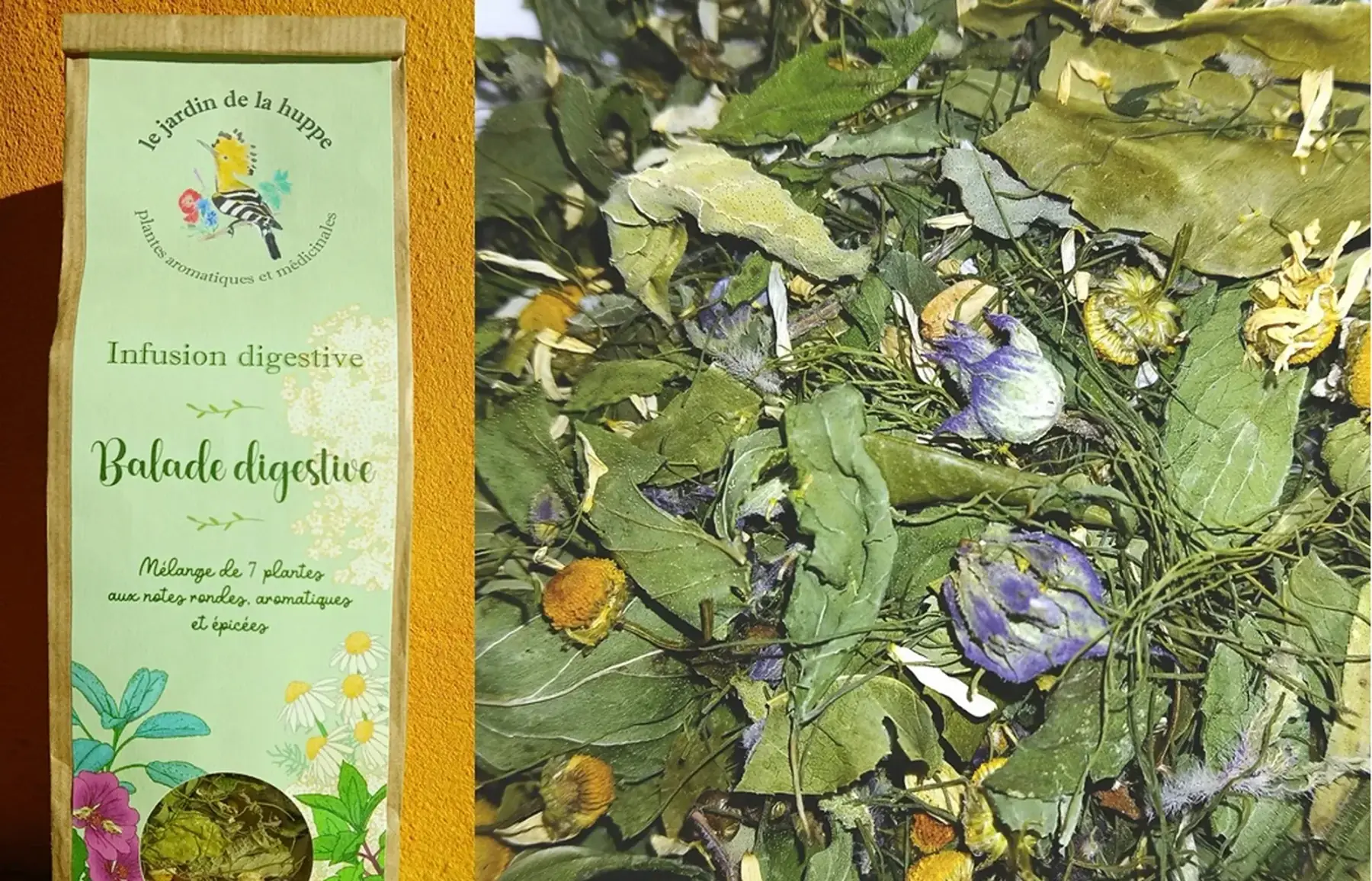 Infusion Balade digestive