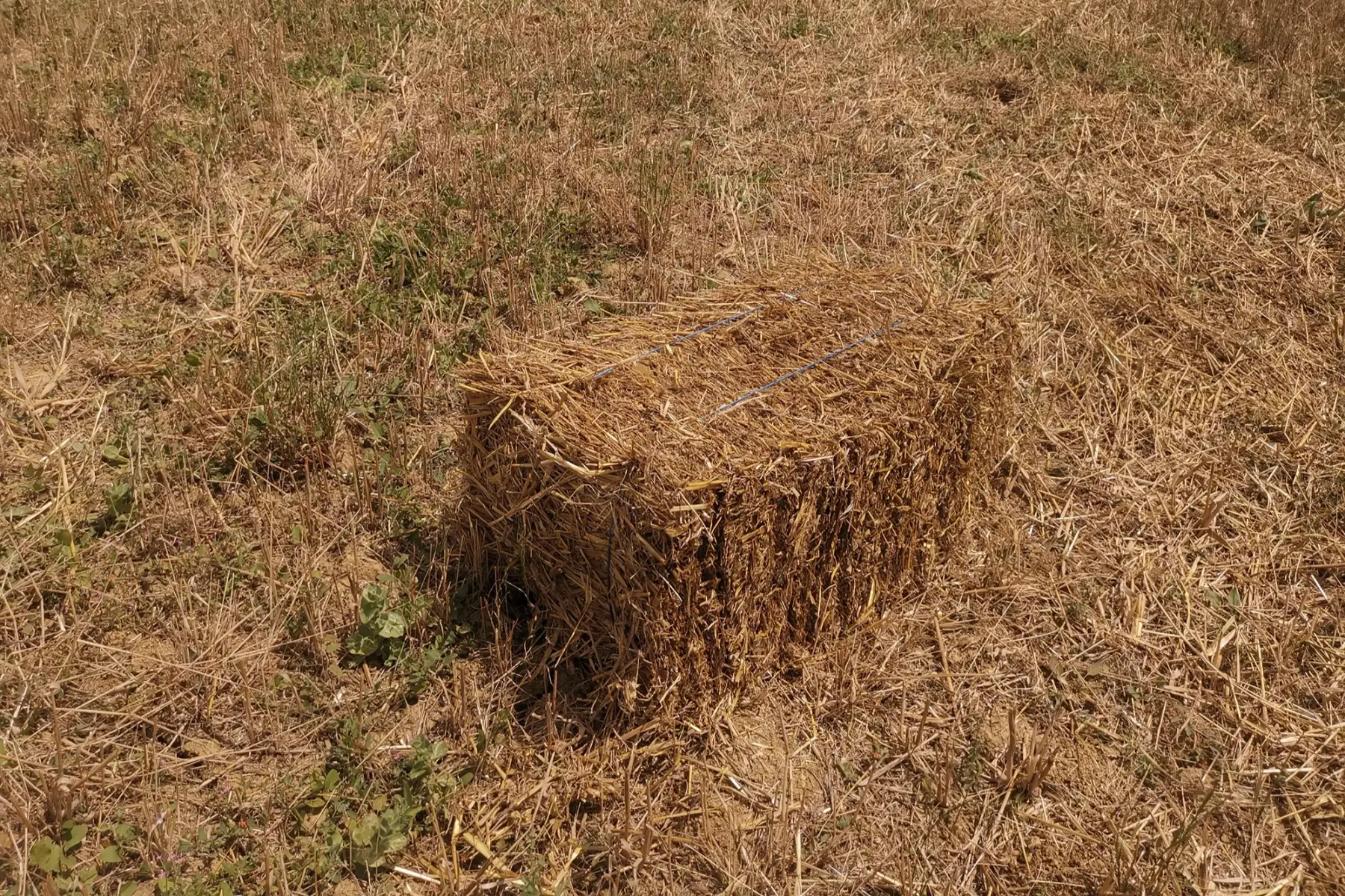 Paille (à la ferme)