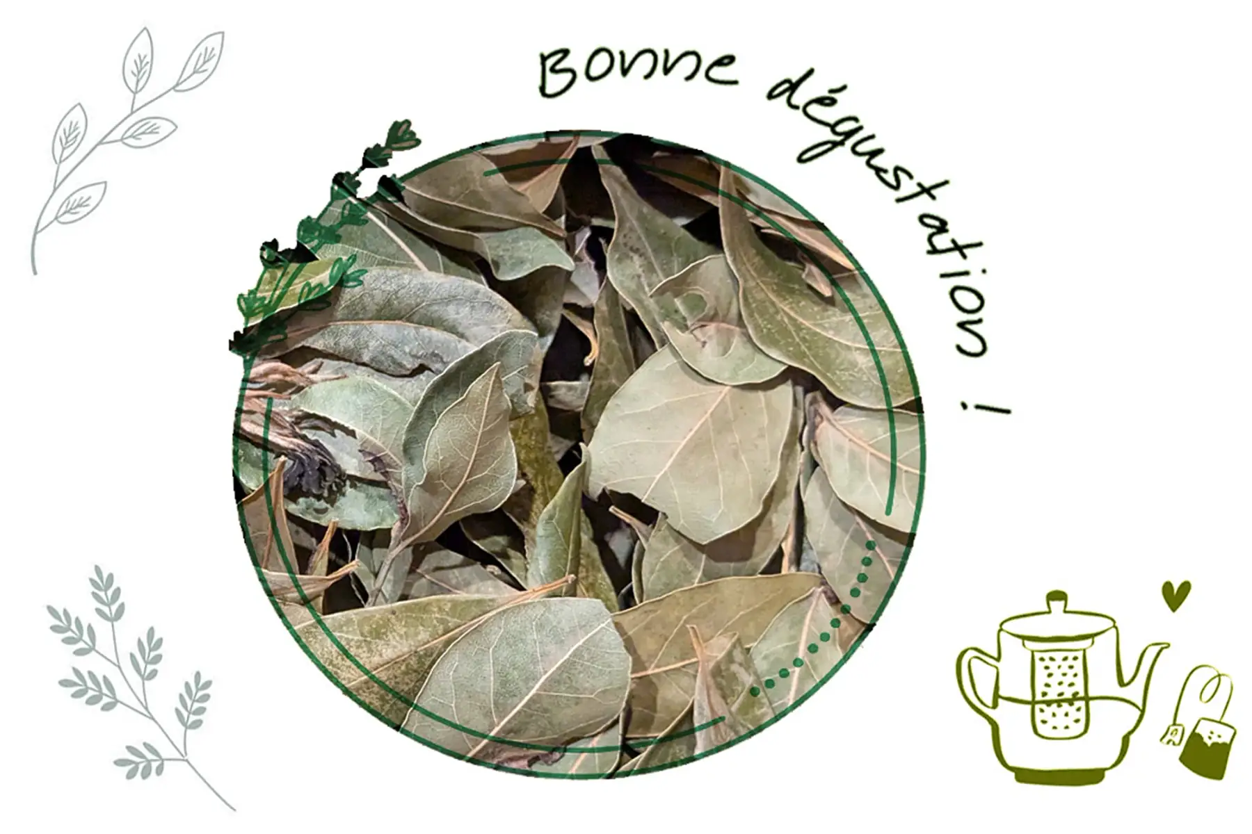 Infusion et/ou Aromate Laurier VRAC