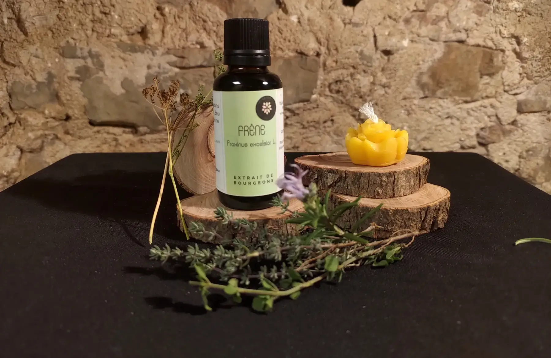 macerat de bourgeon frene