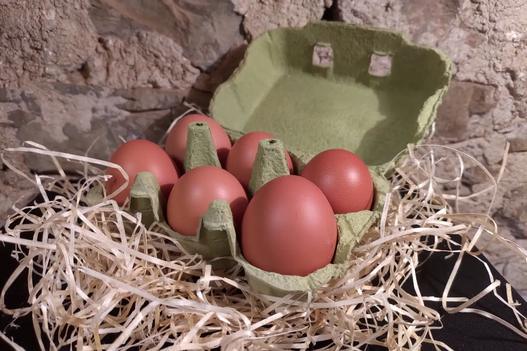 6 oeufs Bio Ponte du Jour